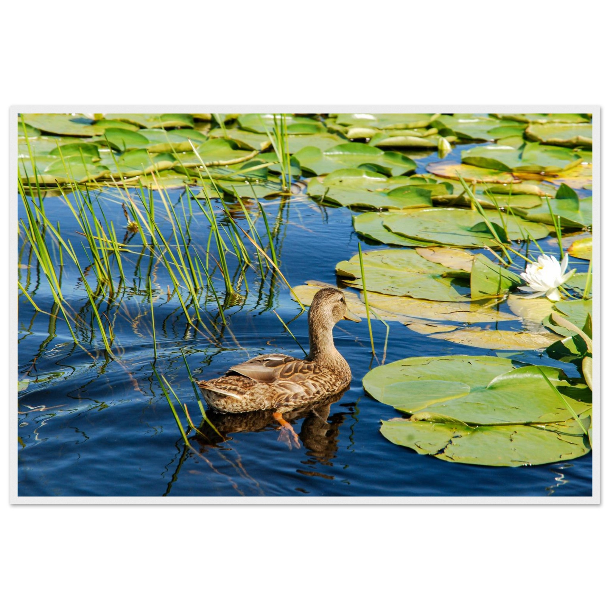 53f5f30e-fc2a-46e9-90c8-6205480aefc4