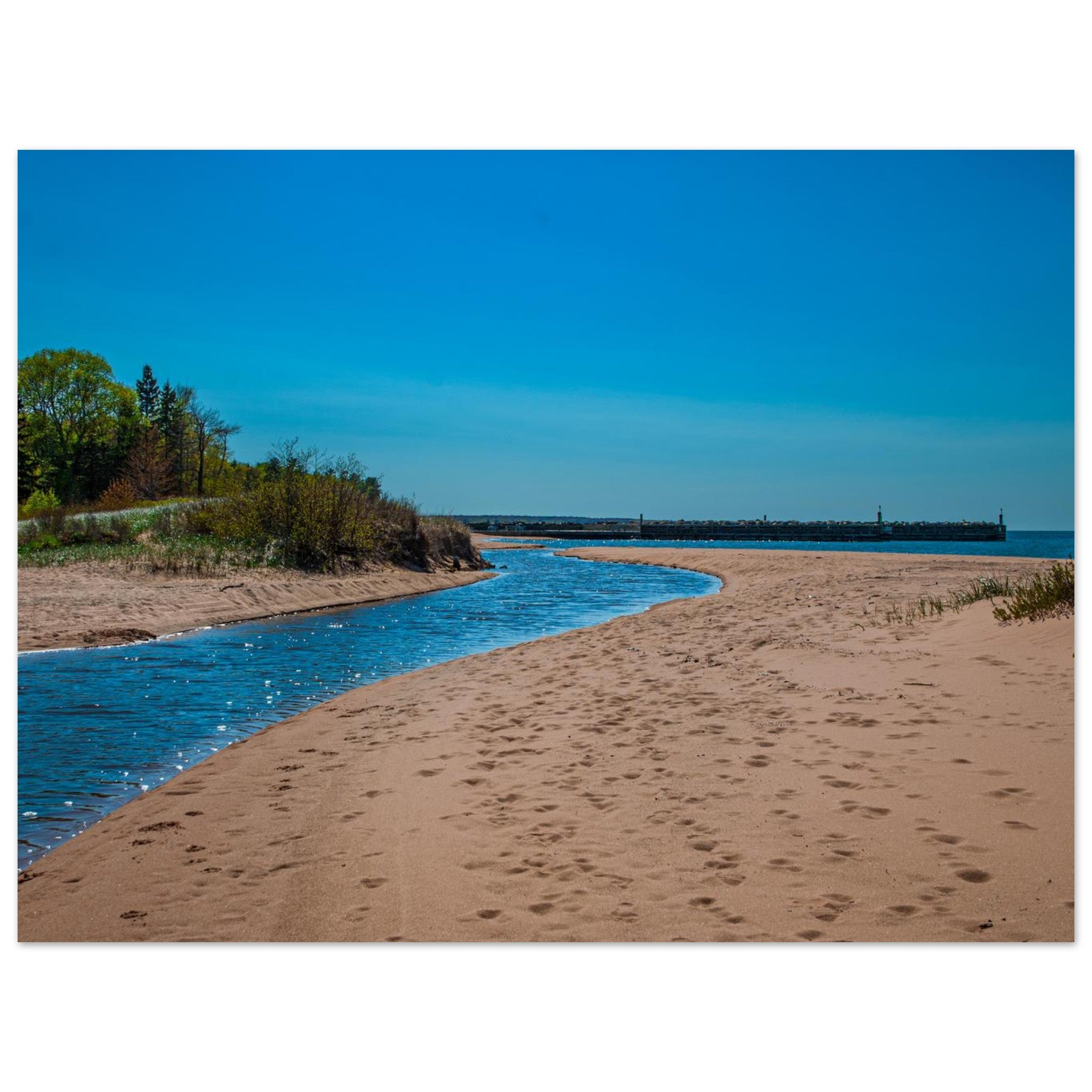 55b1fc33-0c29-41ec-b704-6e132695f81a