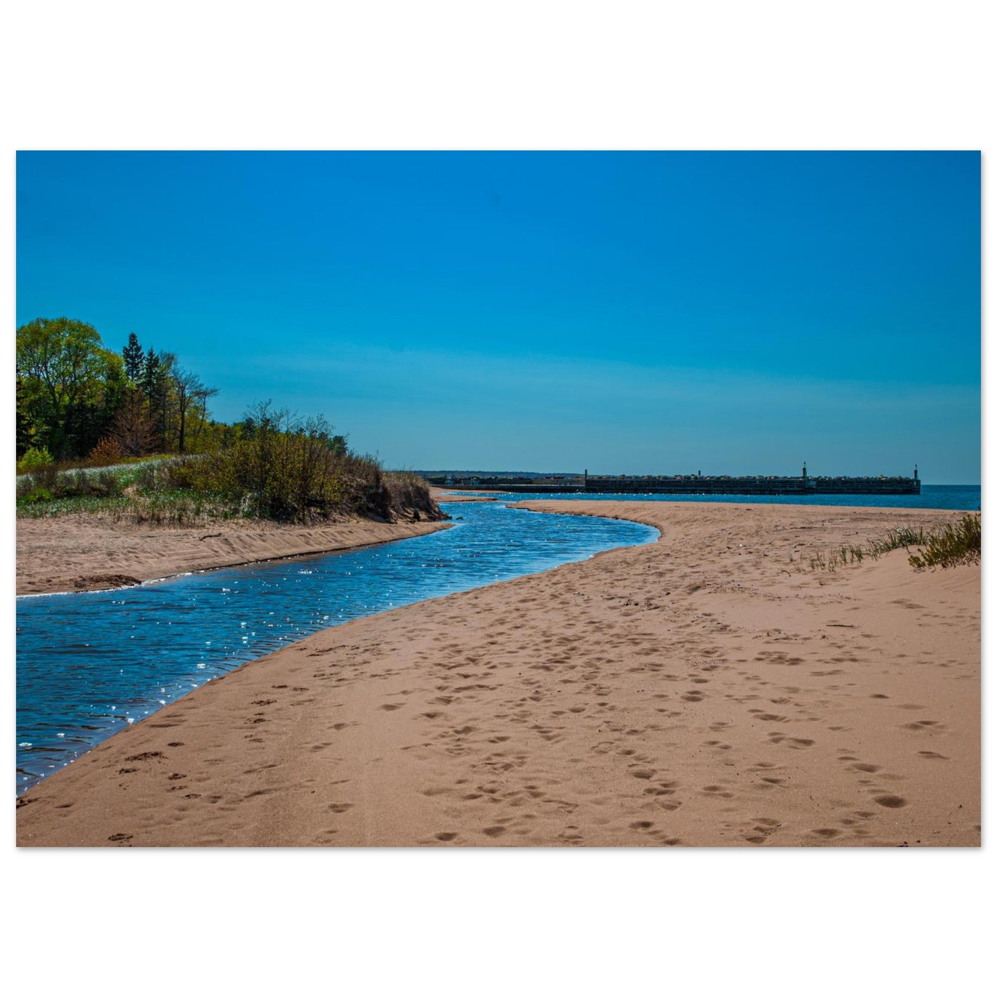 56509133-3d94-4903-87b7-2bd716917372