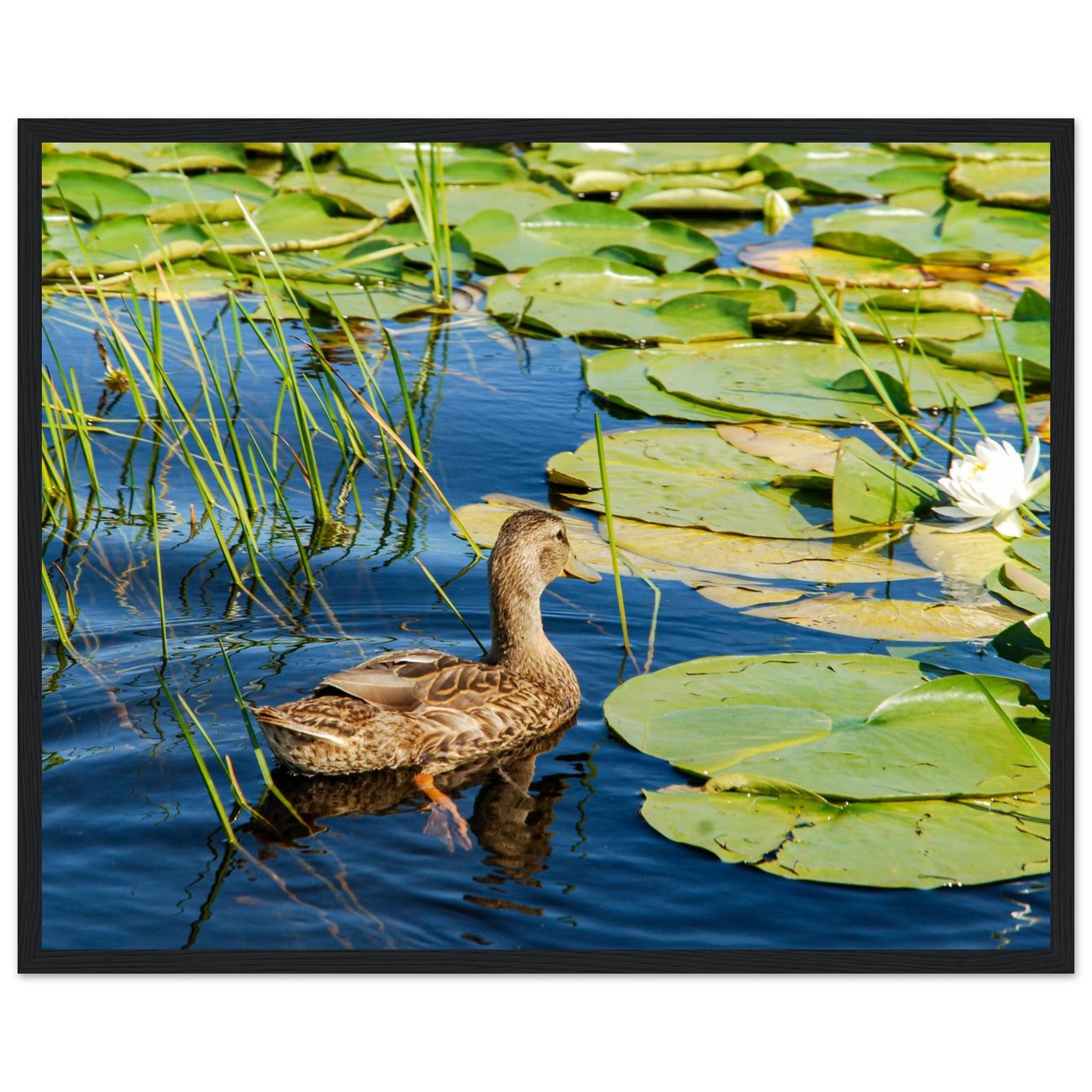 56dacfc4-726c-4d4c-9474-1be07c3f2c51