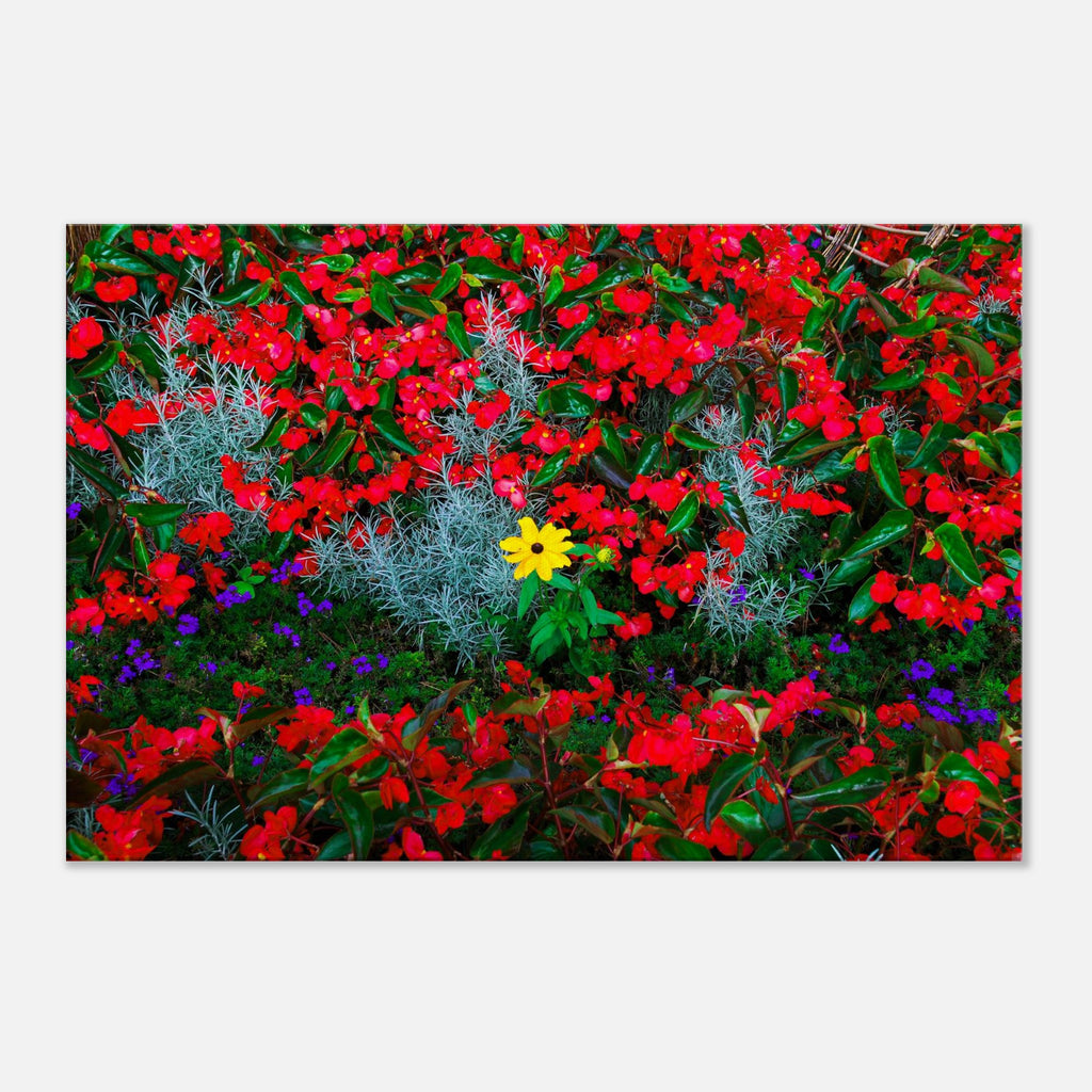 570371de-f479-4544-9c0d-65f34246507a