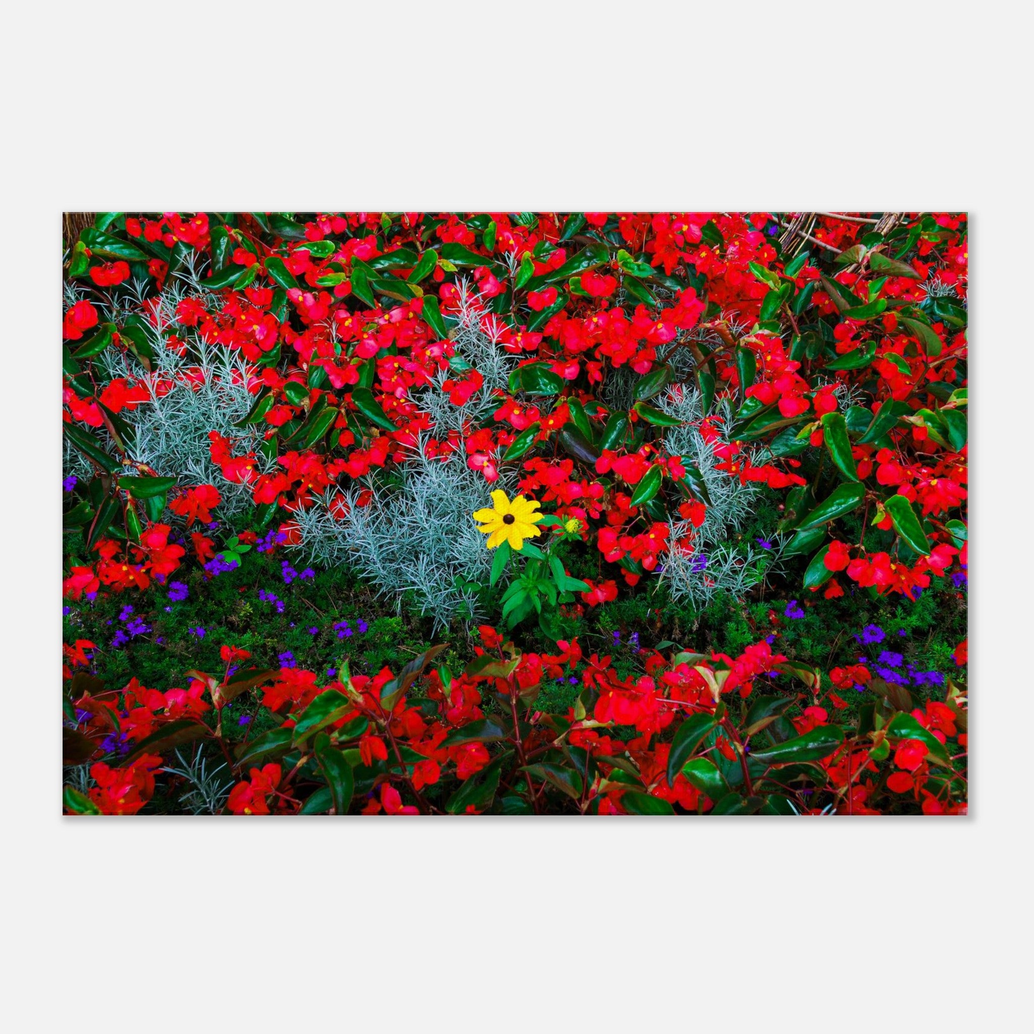 570371de-f479-4544-9c0d-65f34246507a