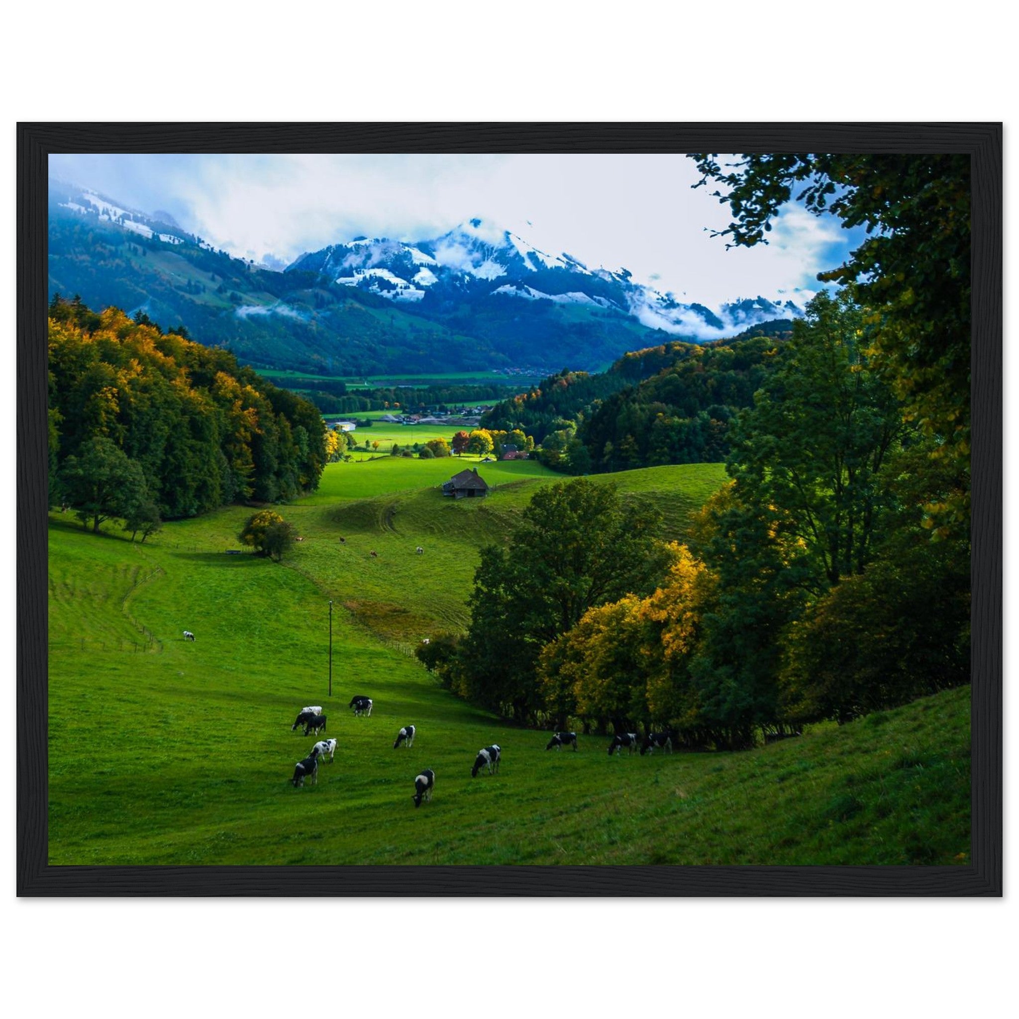 577c3276-f206-4785-8f85-01e81daa3418