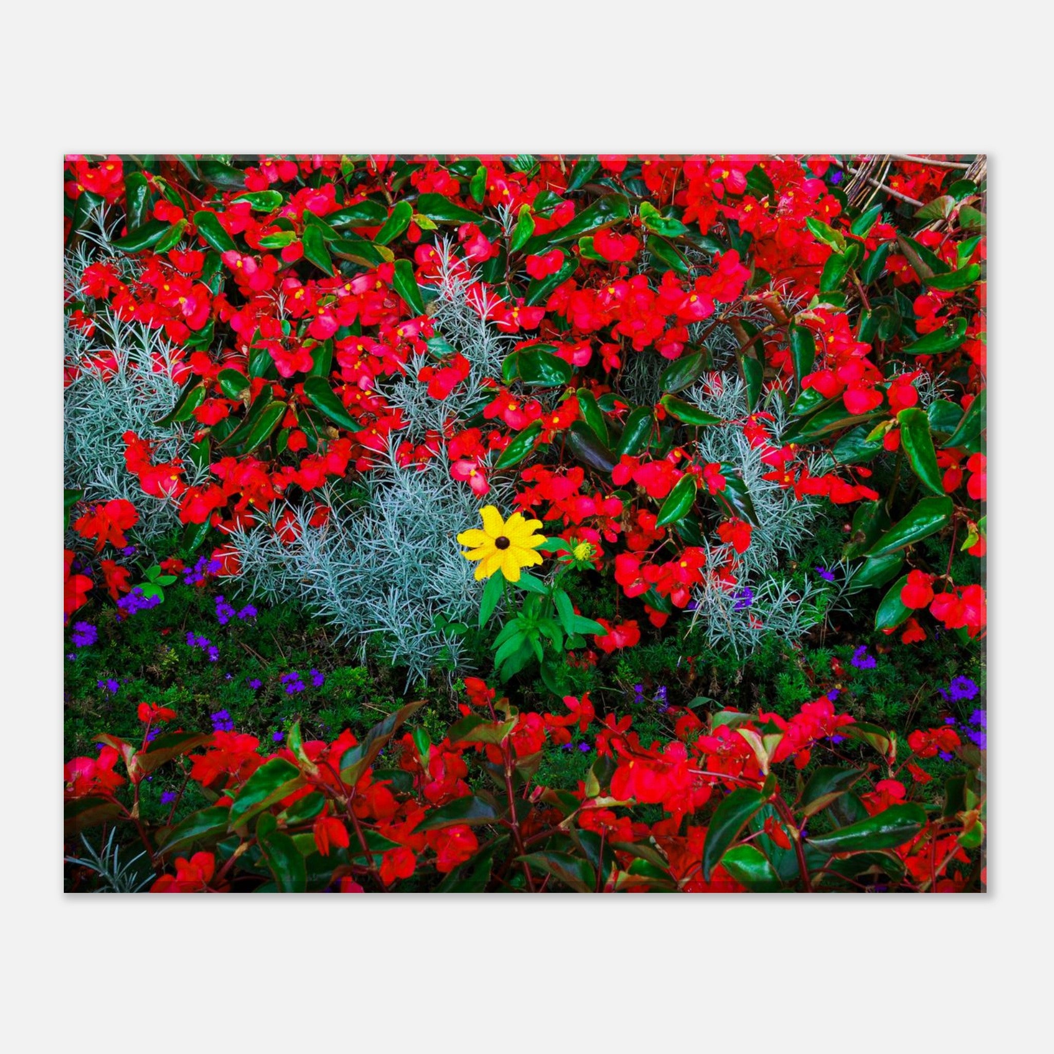 58e4cd5b-1487-45e2-877d-e7eaeccf07fa