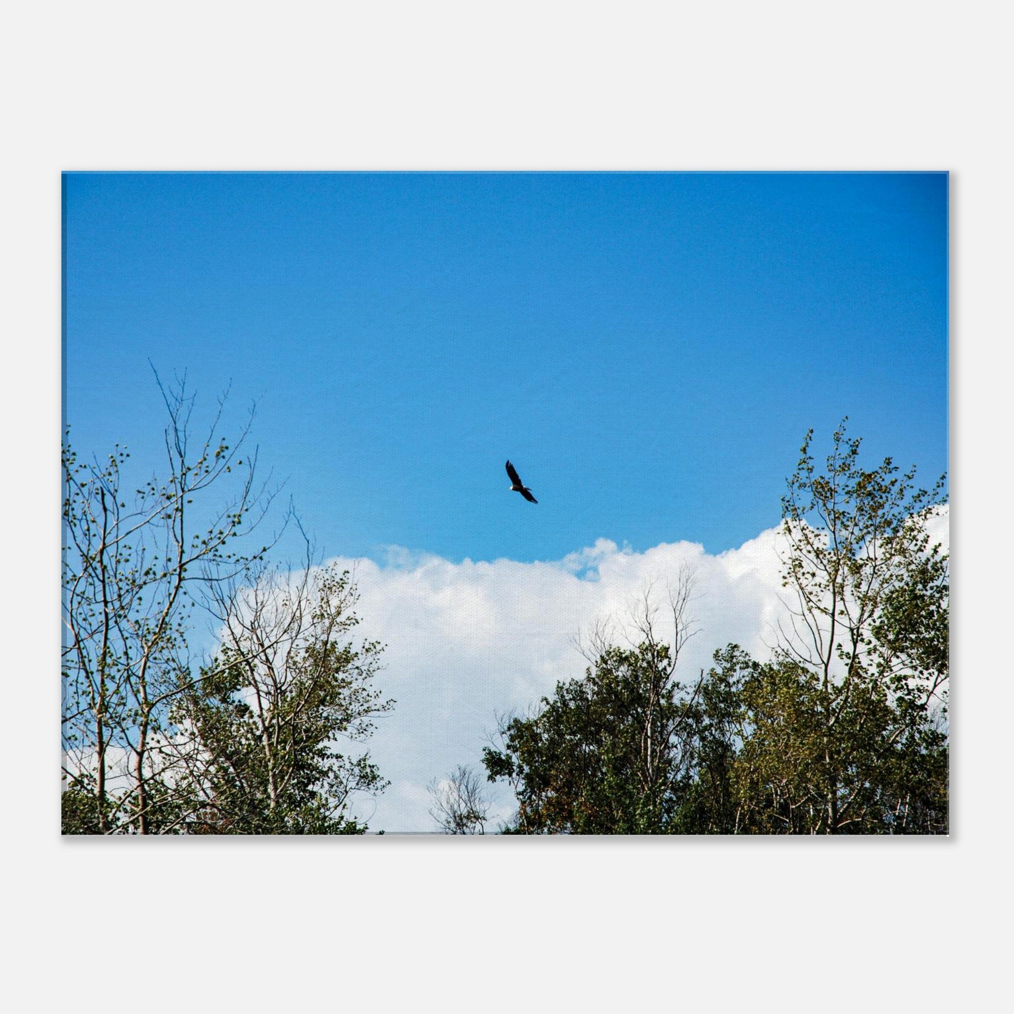 59cc3193-7842-4614-9cb6-7add00489abe