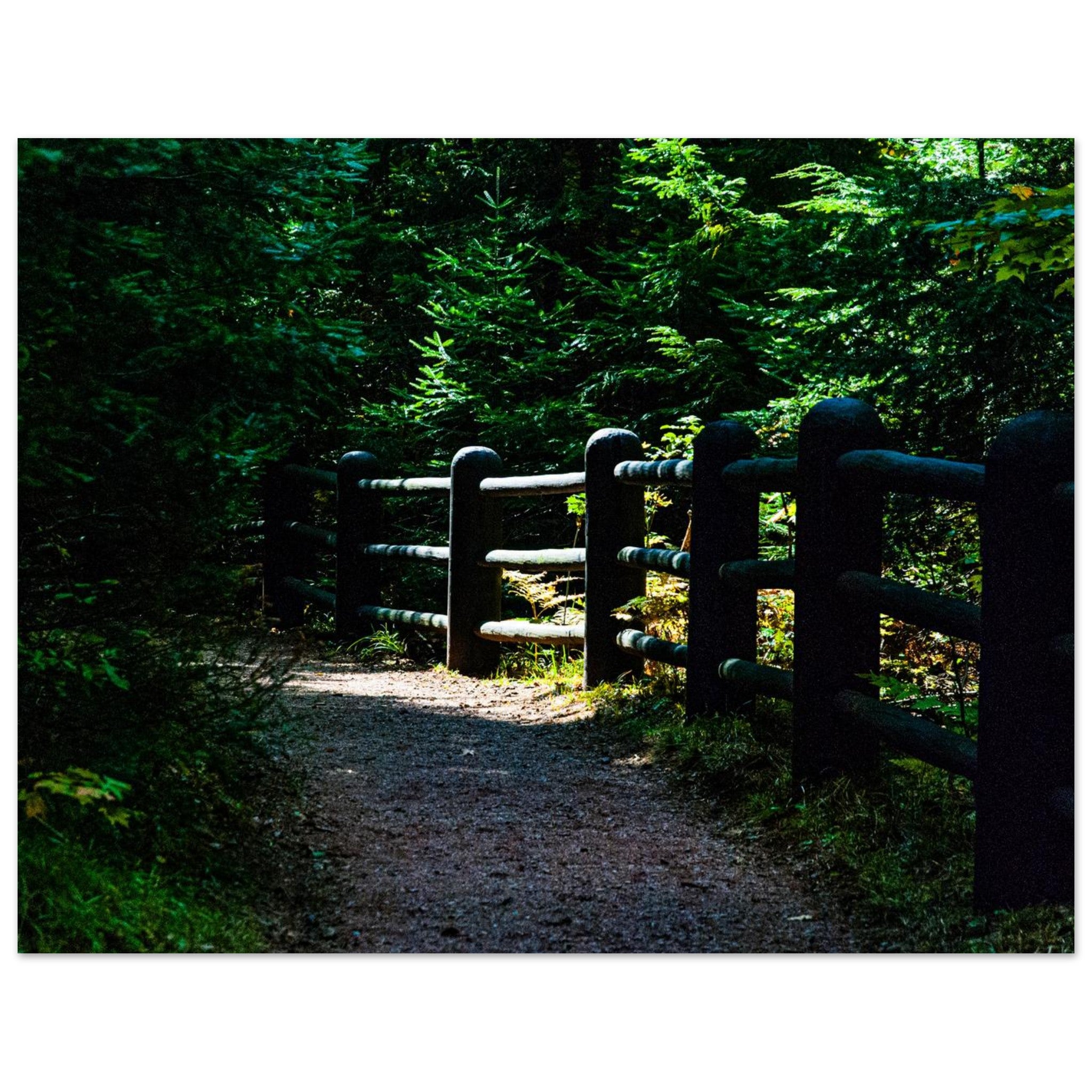 5ab0e43d-1ba8-4dbd-8373-c4971ce2c2b3