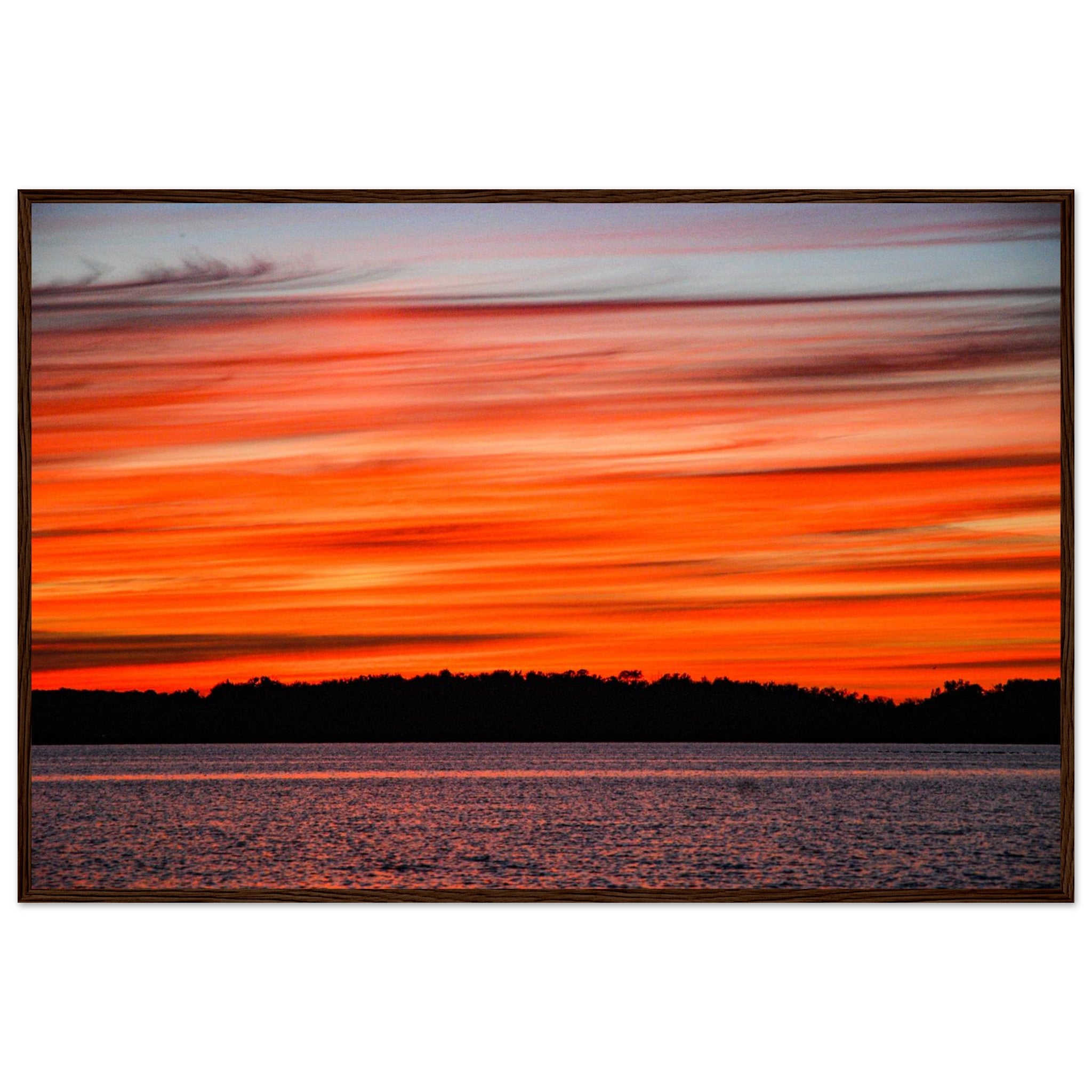 5be9fb11-7838-42a4-9343-f8345e1eeb8c