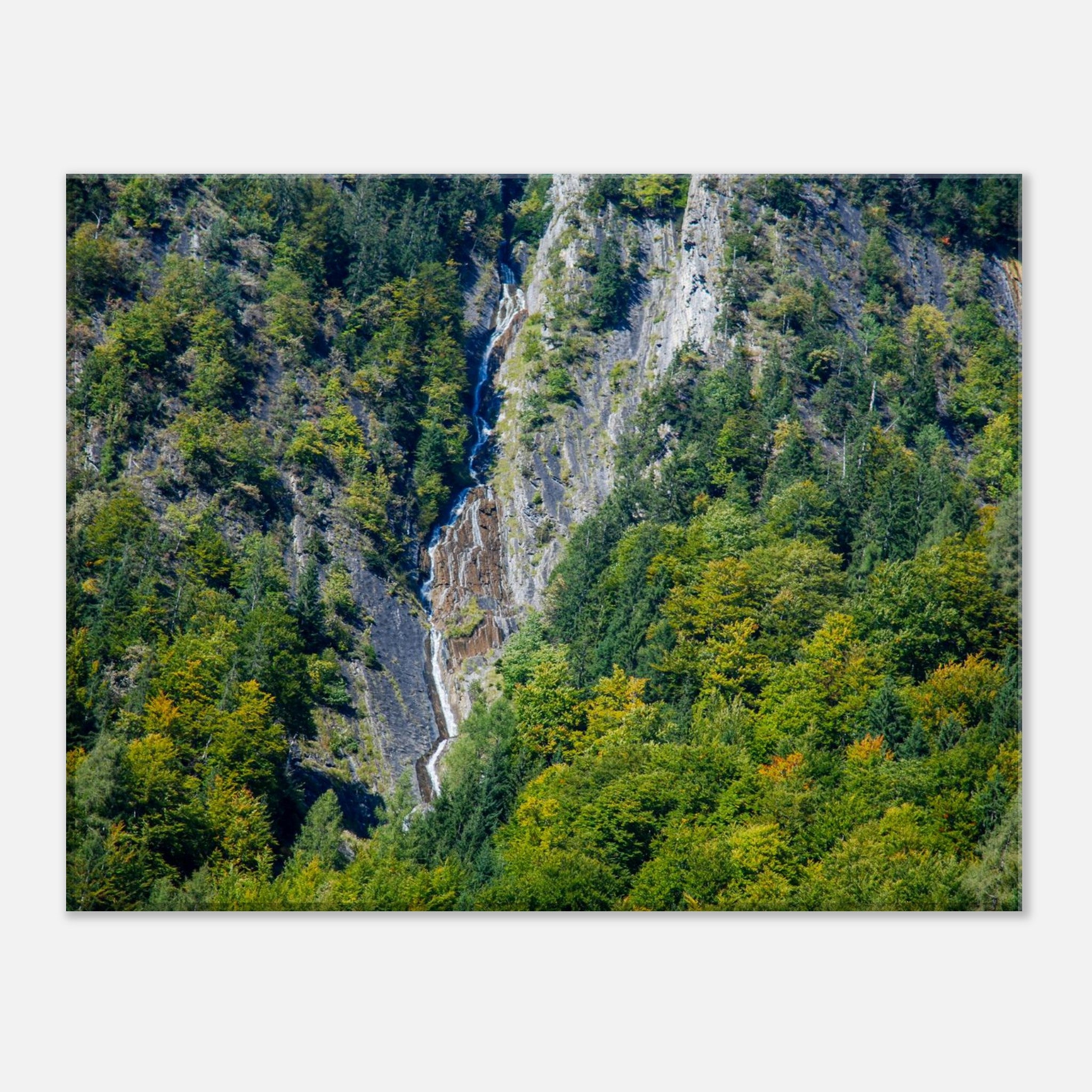 5c2e1232-bae1-48af-b104-d712c88e4327