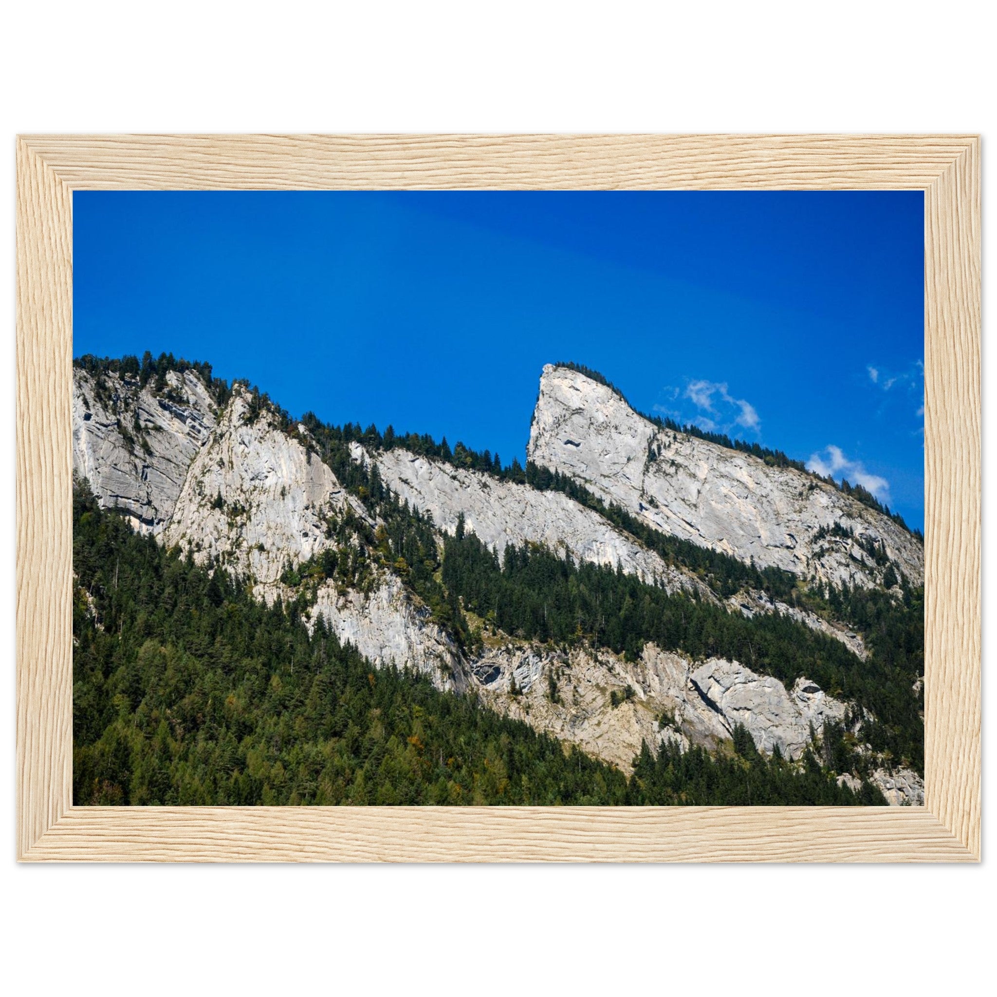 5cc6fb45-9778-4531-b41b-72b2a88c40f9