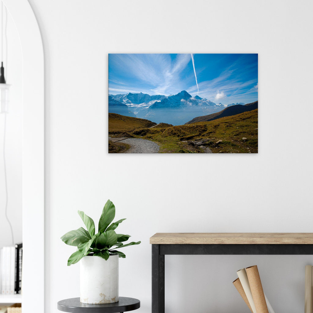 5ebb1b50-245b-4477-83e7-35c137934388