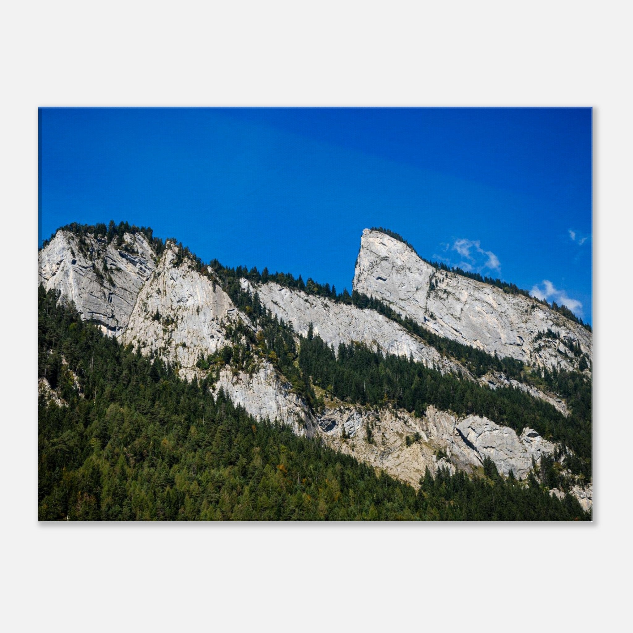 5eea65e9-85dd-4d5c-bac1-fd9bf1958e69