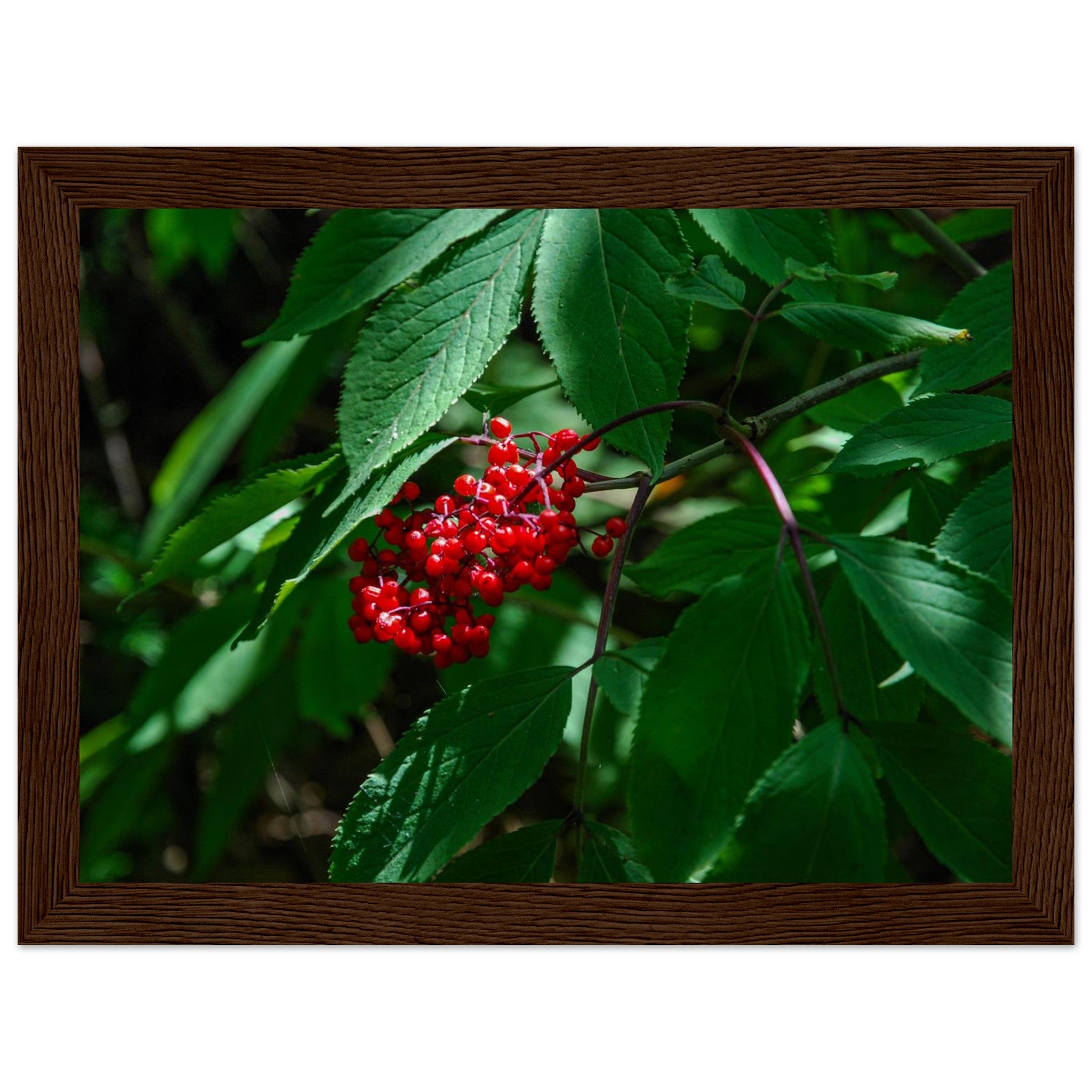 5f04d541-82f9-4310-9cfa-8f65f6a4ec0f