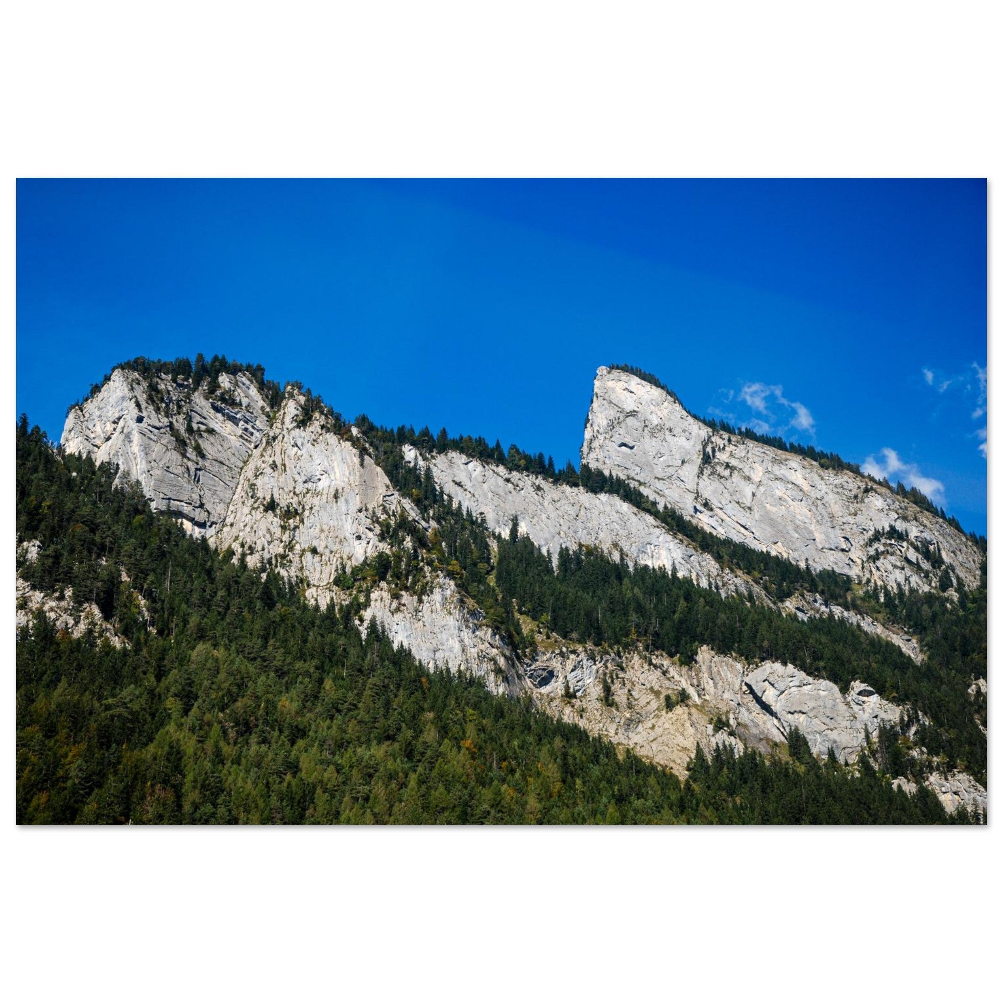 61a03a8d-44a8-46cb-a72e-602c5580672c