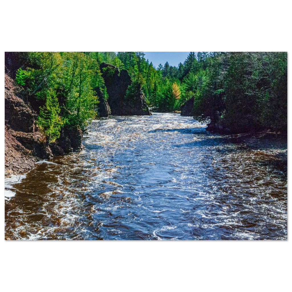 6557d5dd-d212-4d06-9436-8849a81a9ea6