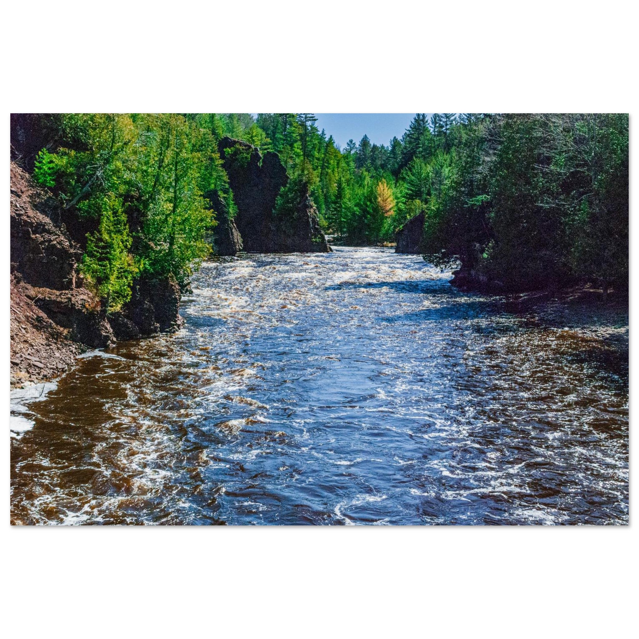 6557d5dd-d212-4d06-9436-8849a81a9ea6