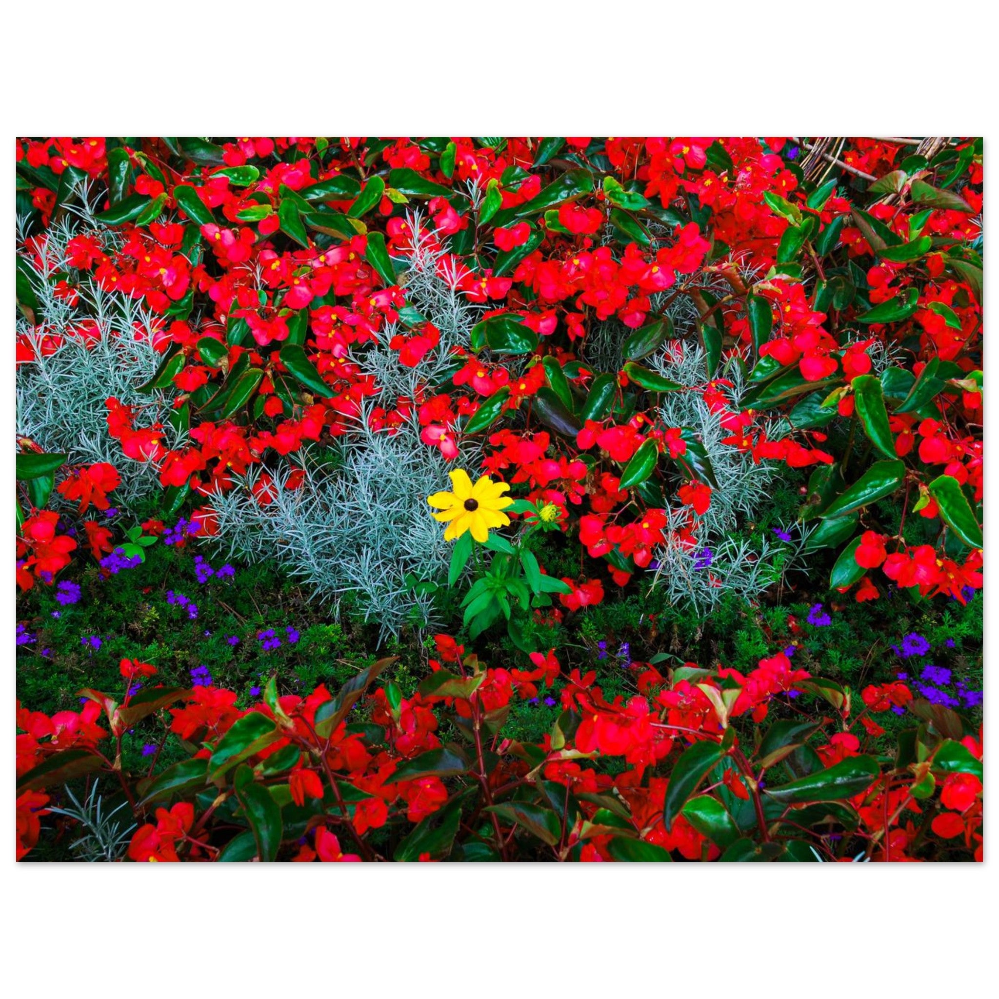 658fd207-3be8-4b16-a114-b81536c0556e