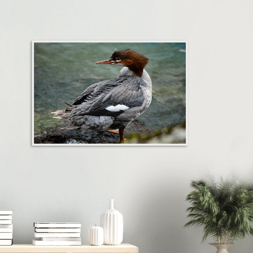 6679bd10-9a0a-4727-8118-ab1267ac8b41