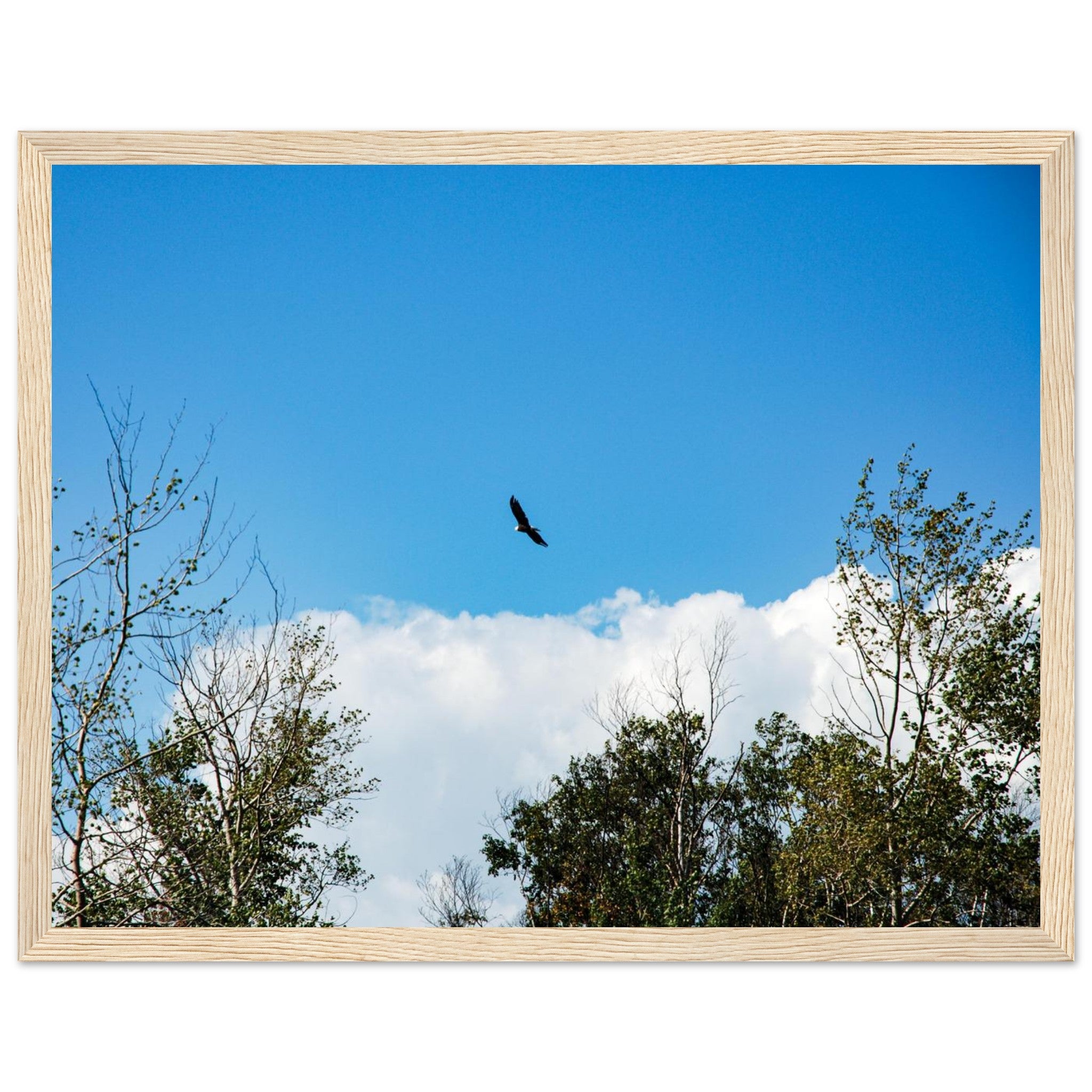 68b93f5c-b556-4898-84b6-26d7f5d45ca8