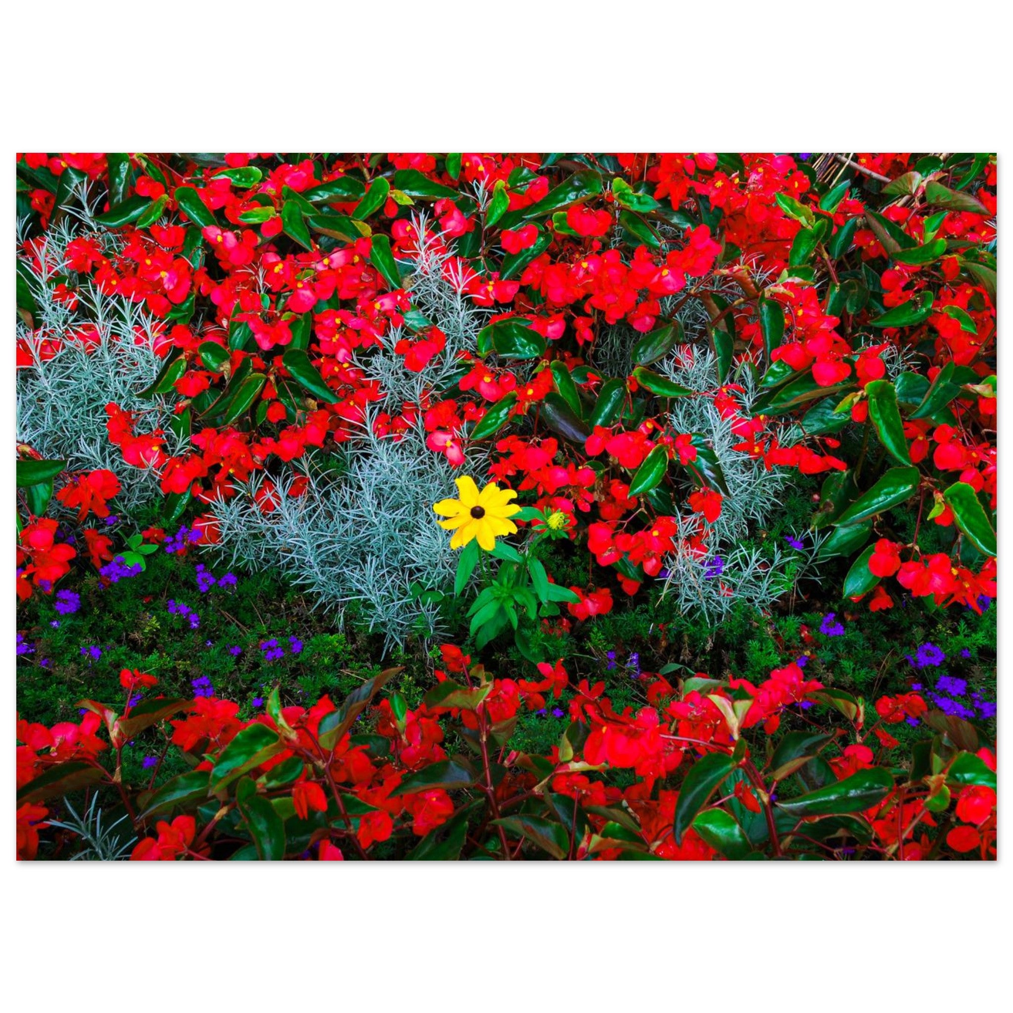 6dbec14e-9459-4f5d-b044-762b0e1aab69