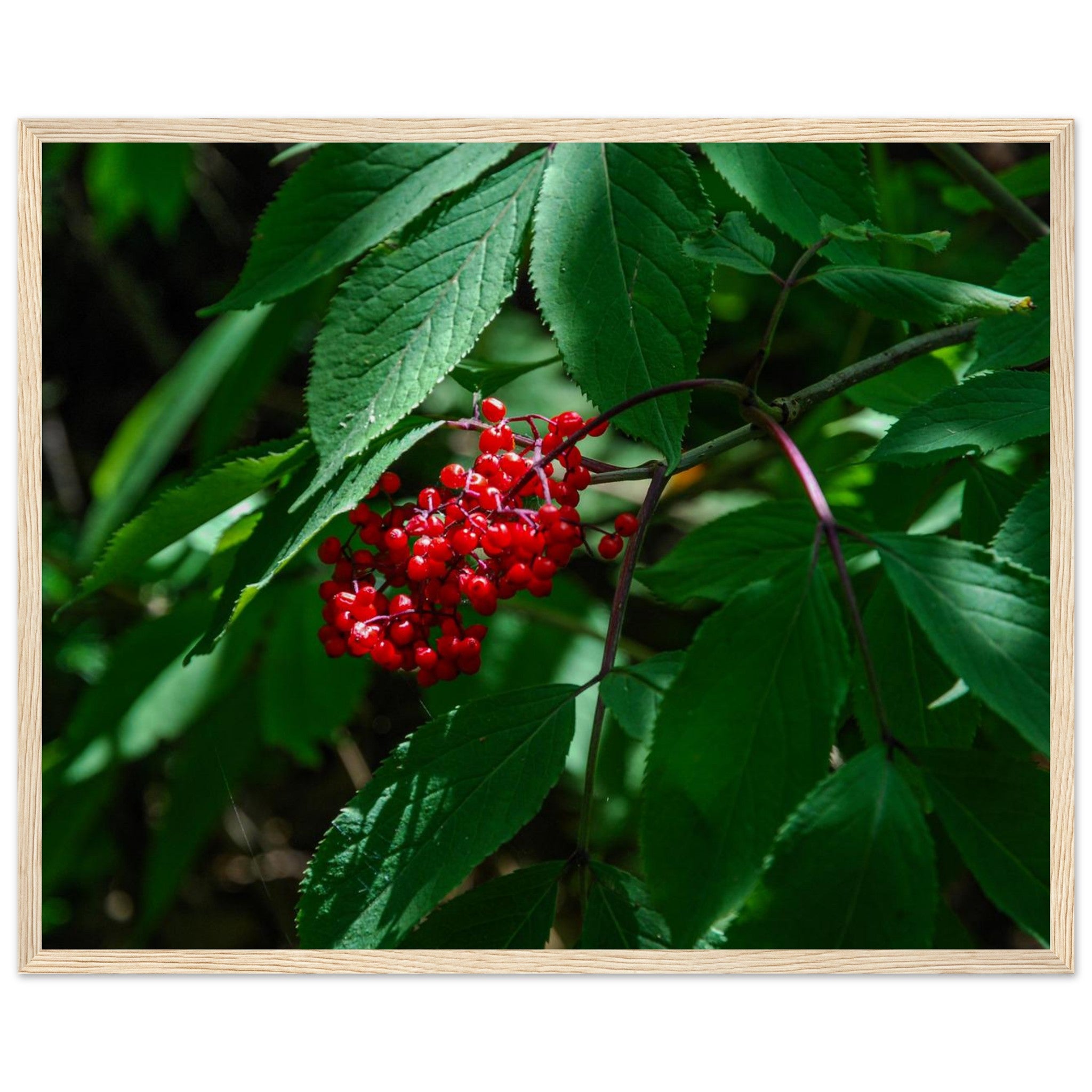 6f0b3671-93b7-4b27-a568-cd86a6c0f7aa