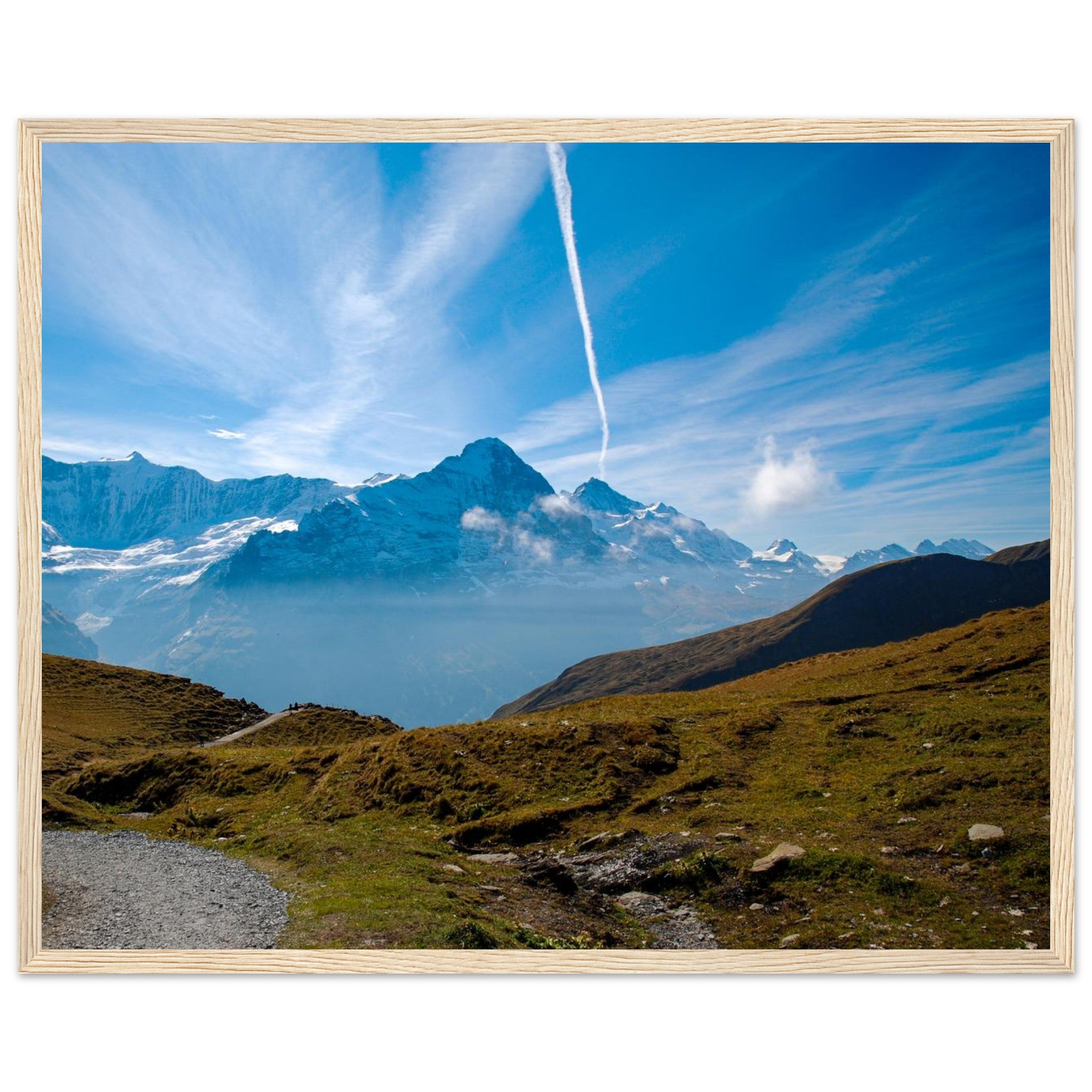 6f0f7a21-115a-4089-8937-309cddd5096b