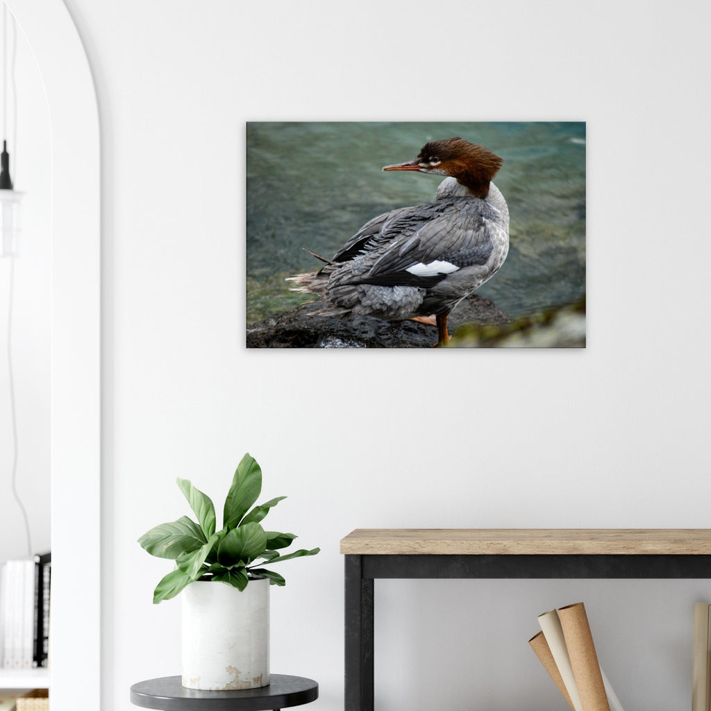 6f879416-d26b-4de7-8608-80ab00cb7372