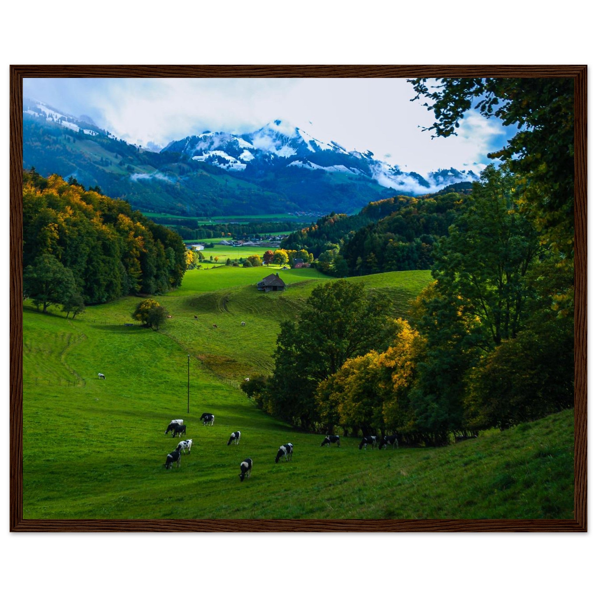 703b1bd0-429b-4bb4-ad29-b067f60b4045