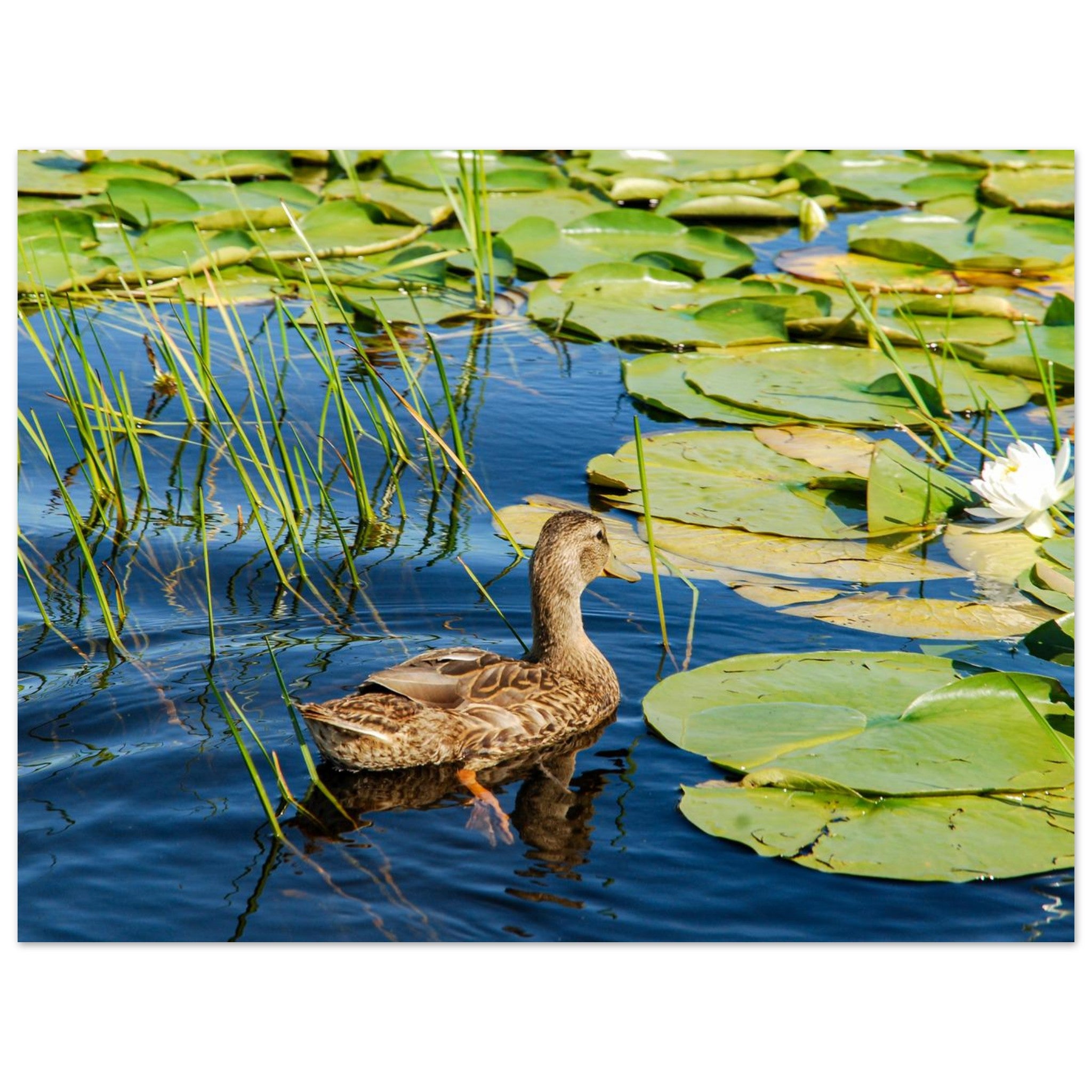 71a1e07a-af39-4ec9-9a2b-7ead1881d592