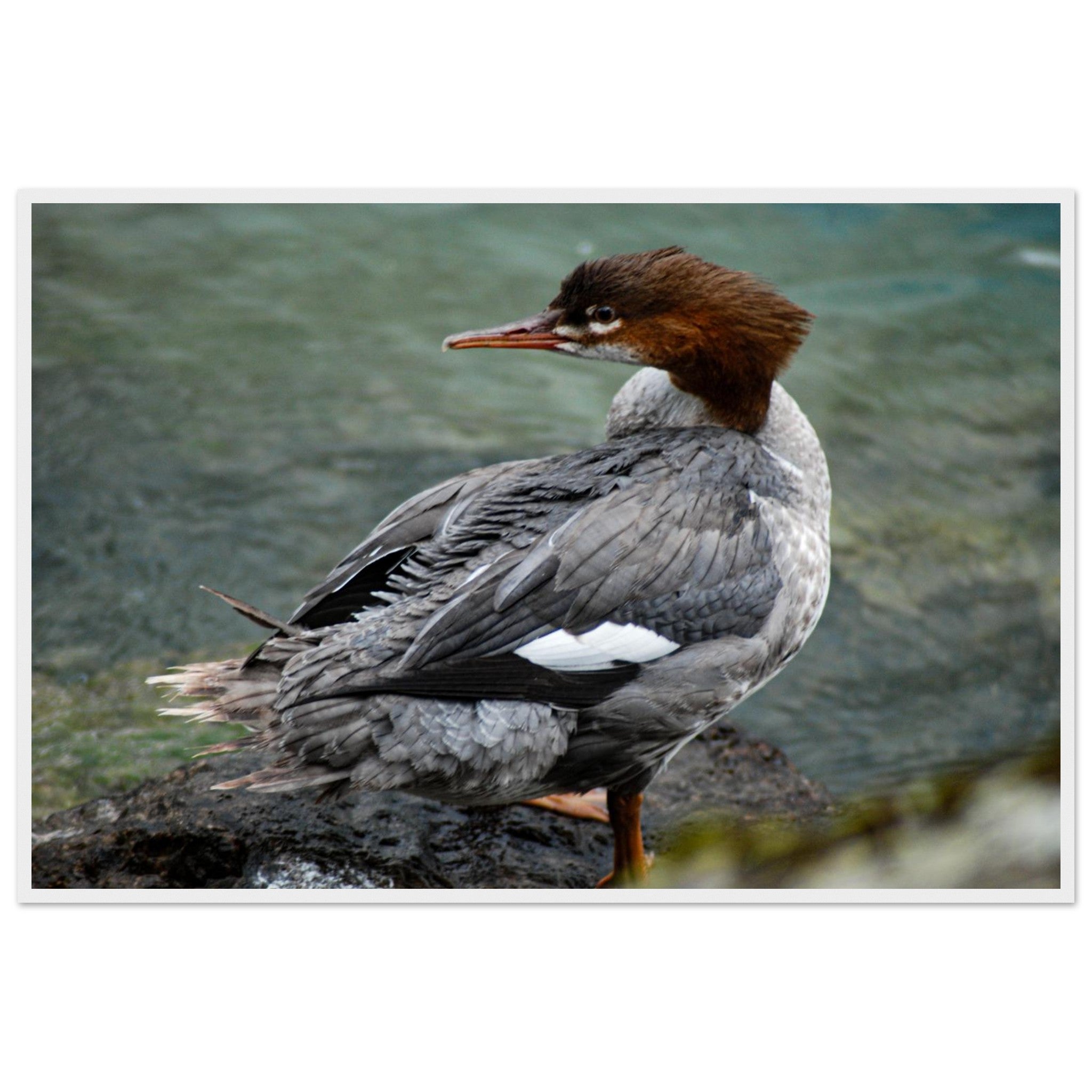 72332b2c-ea80-48c7-ba92-2902191878b8