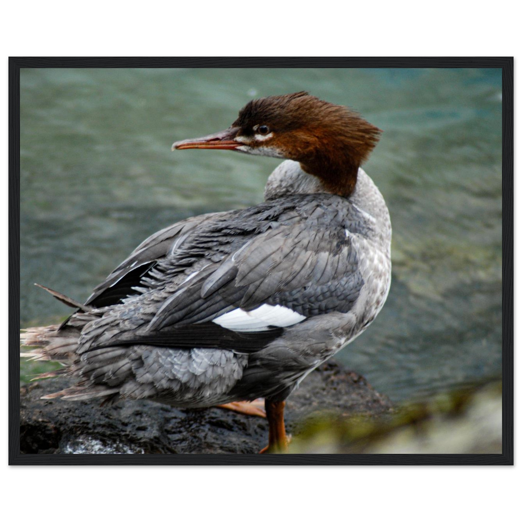 72560f8c-697e-4f93-a5fd-1f2aabc16051