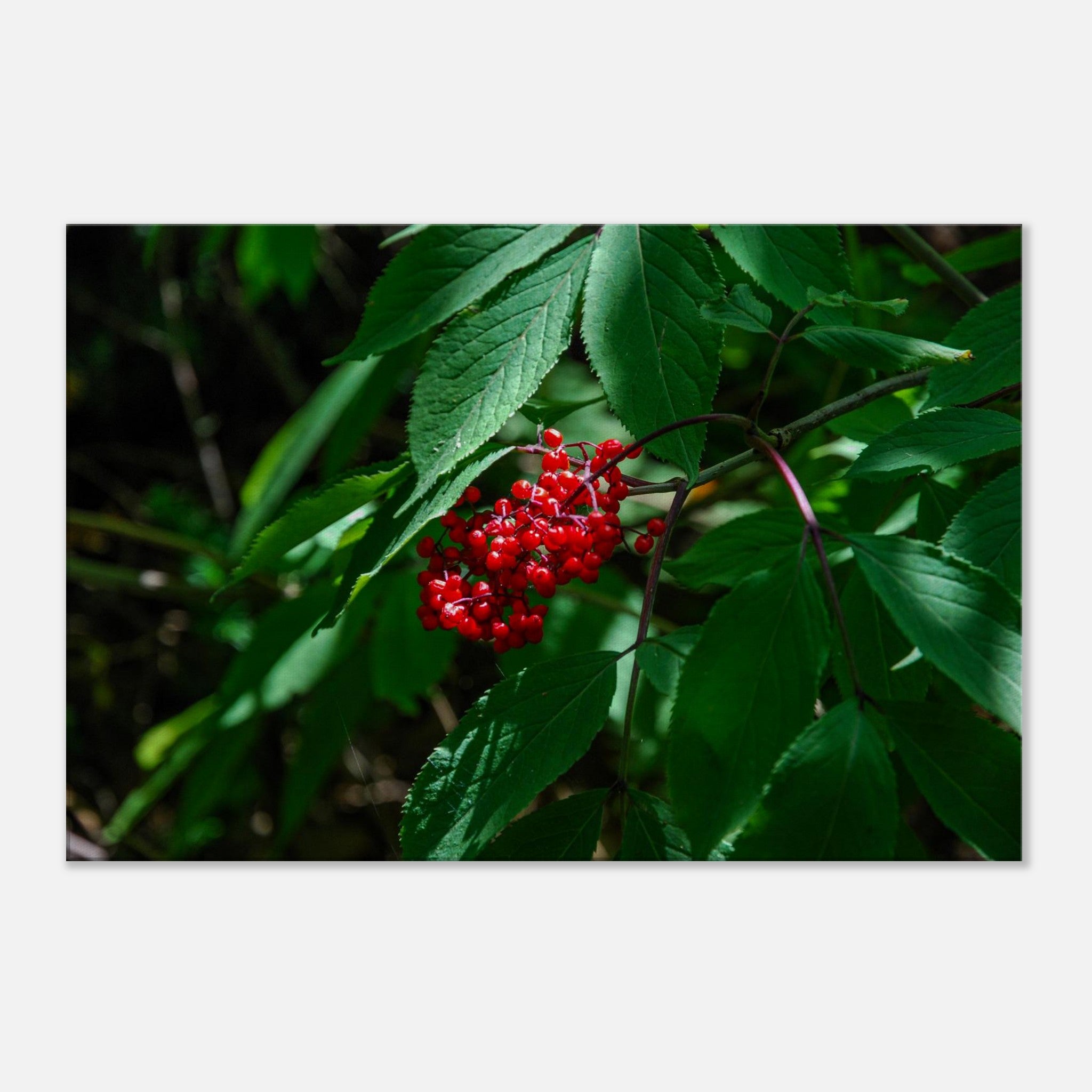 72cd1eb5-29c2-4058-a183-59fafeea3e56