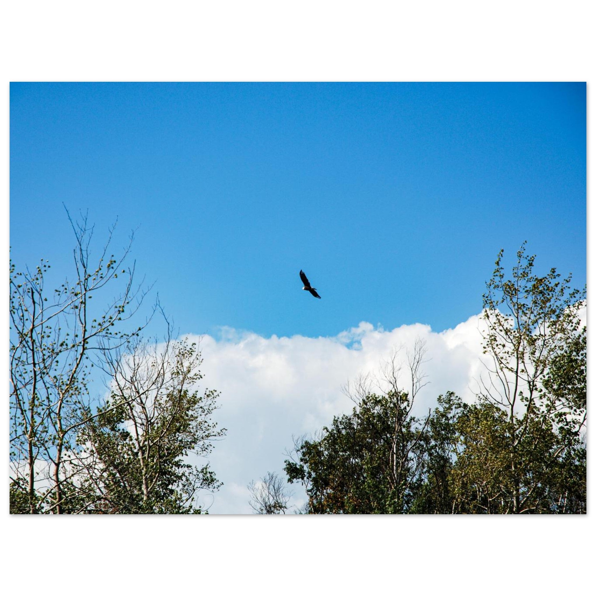 73abfbde-a6b2-482e-89d4-6384ce7e5915