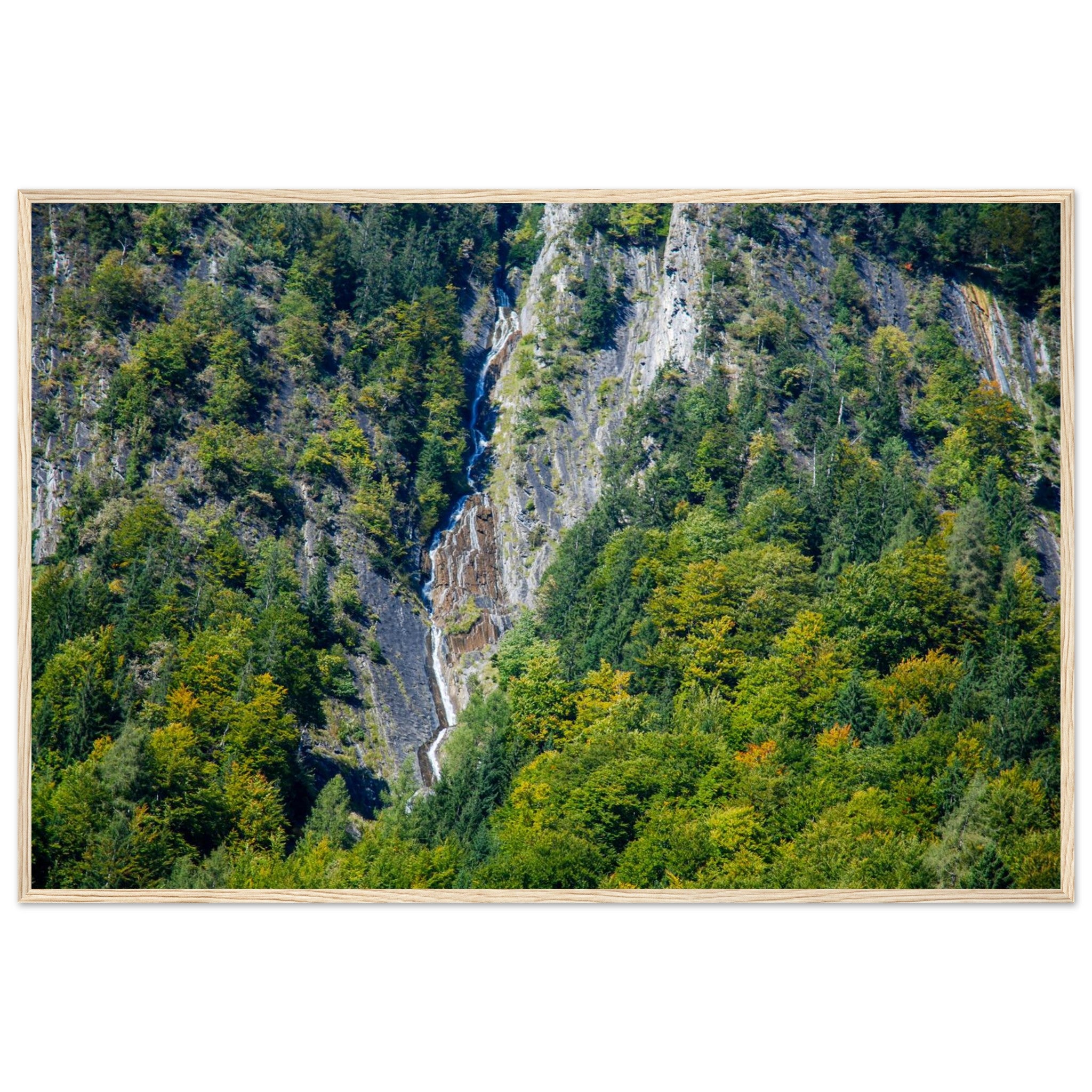 73af9a30-8818-400f-b0d7-d512ced788b2