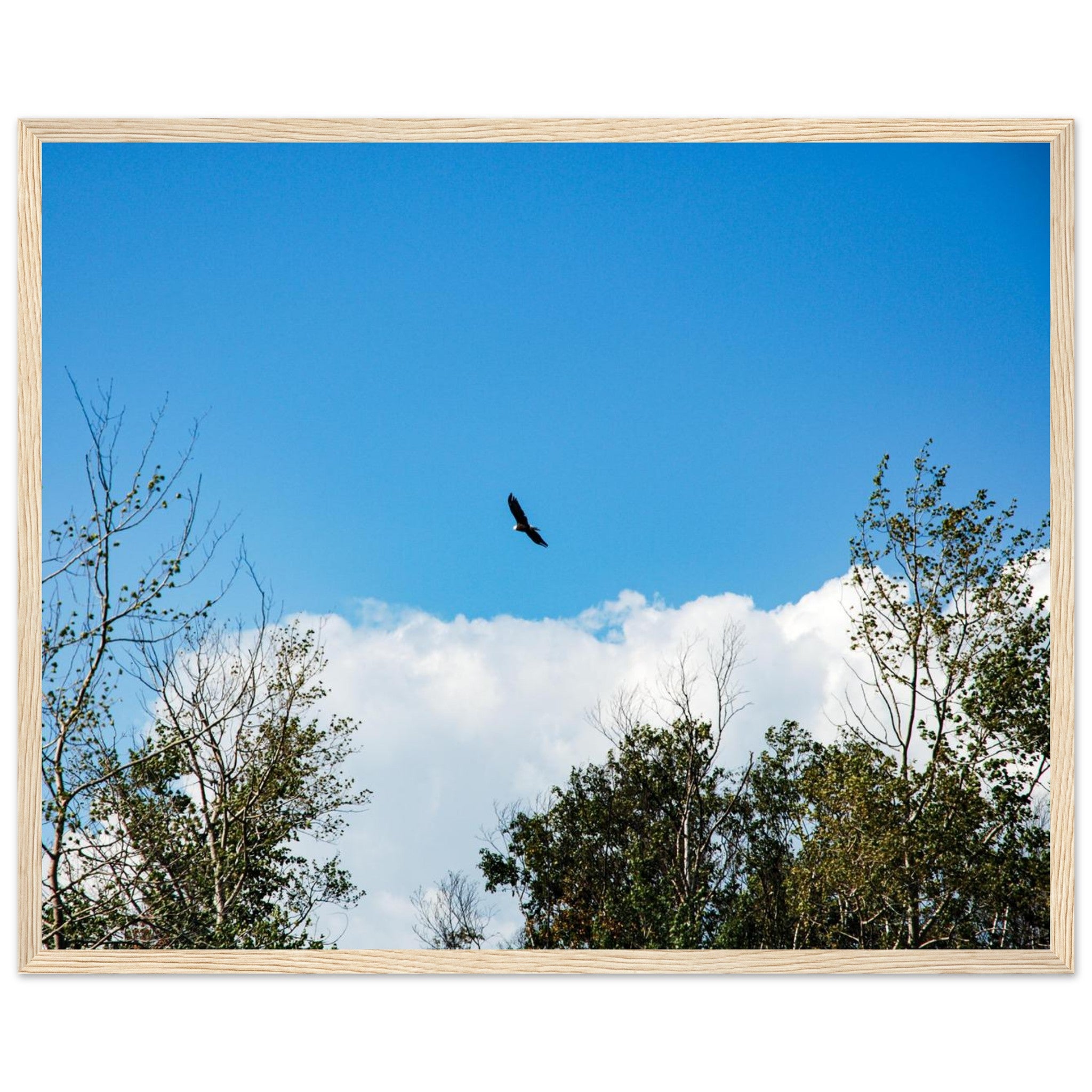 74fb0d75-13f3-4fc2-a50f-bf5f6aa28c93