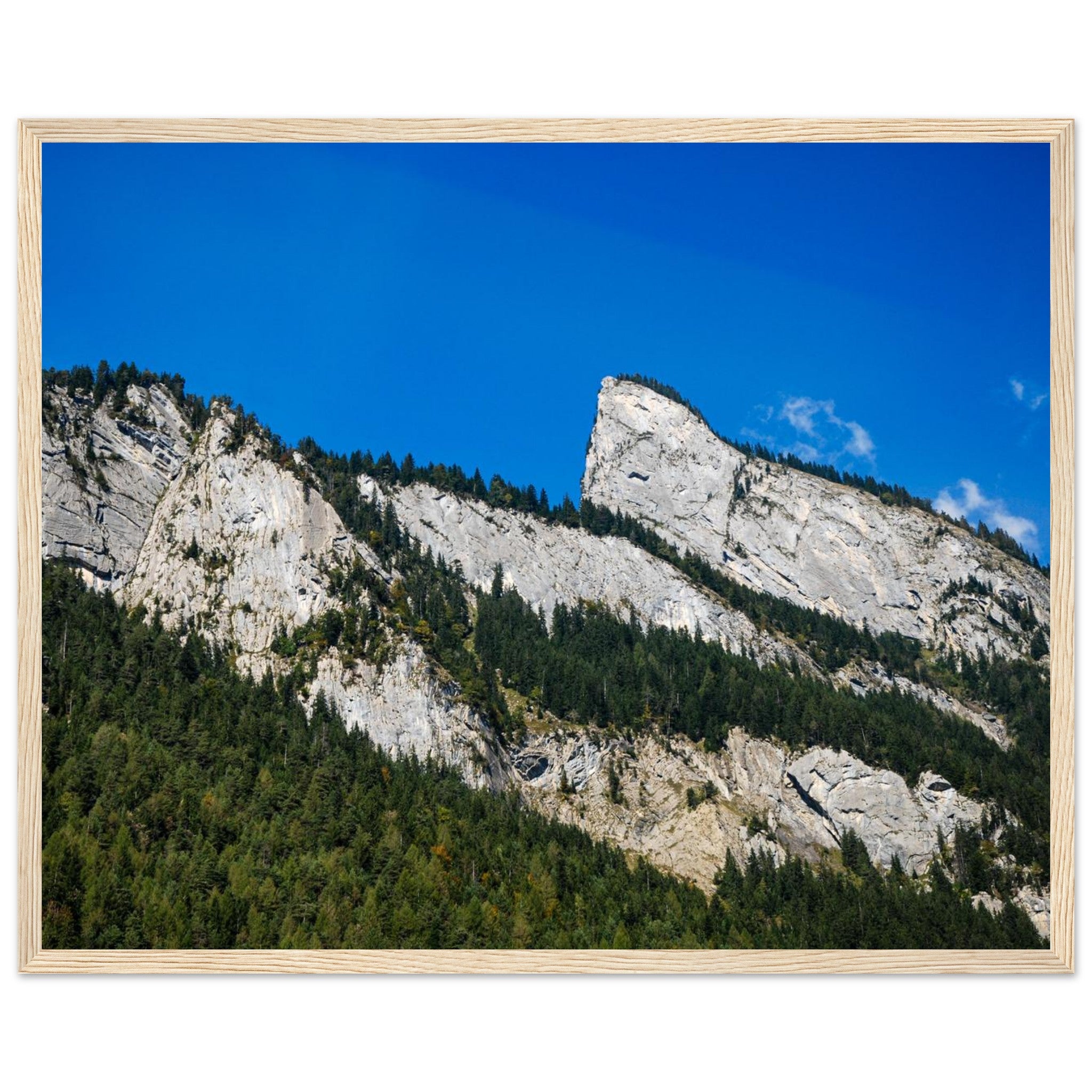 7617d853-c23a-4c4d-a1b3-afcaa803ad80