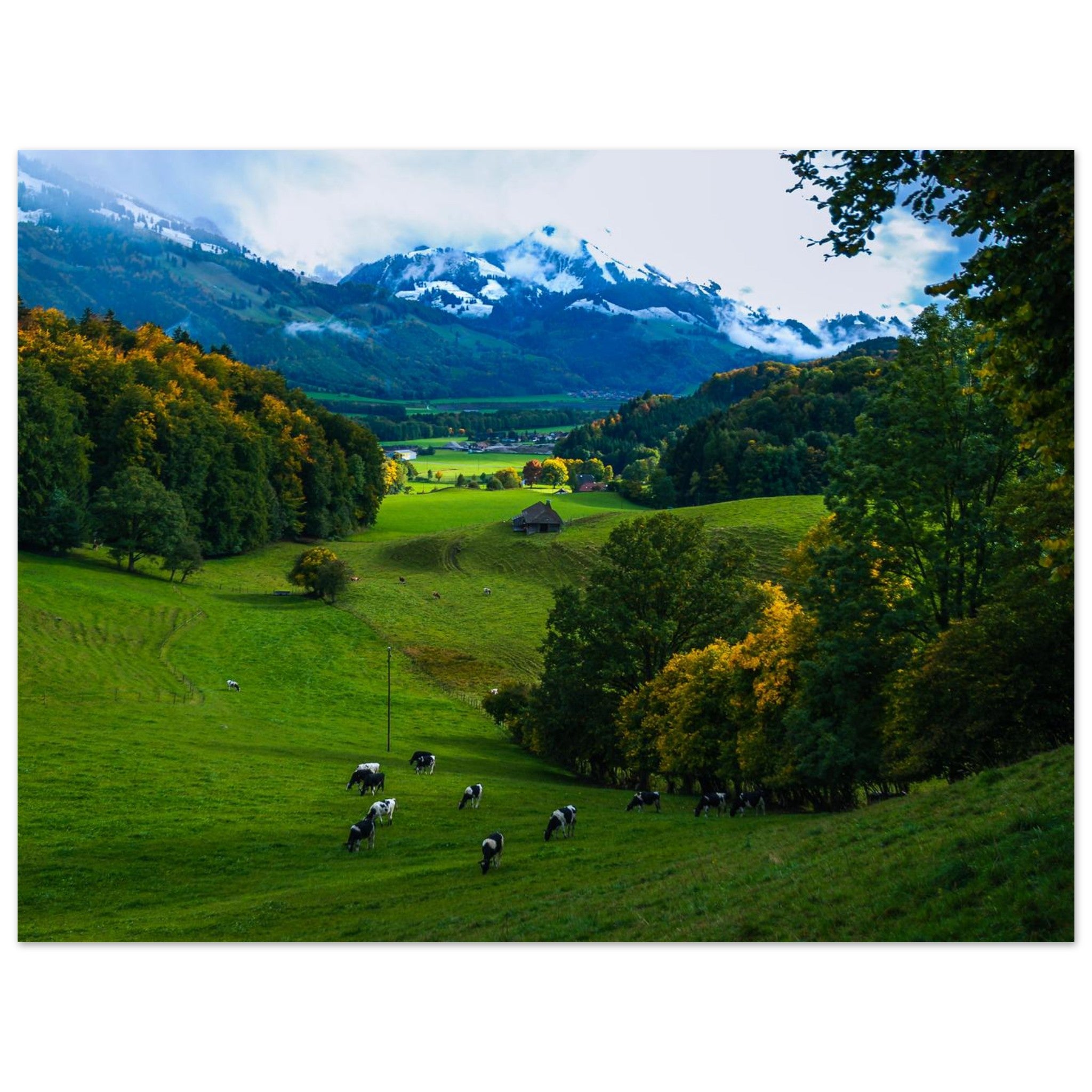 767613d4-a5a2-49a5-92b1-531587f0661a