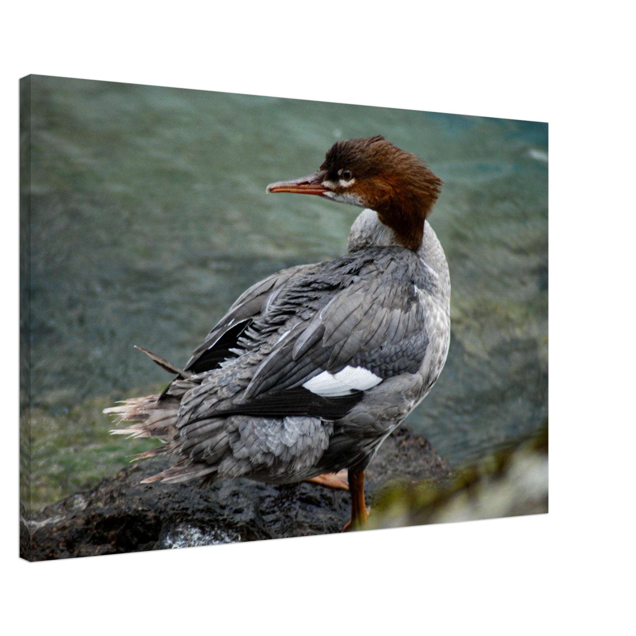 78264d57-199d-4c6c-b9b6-fdedd771582e