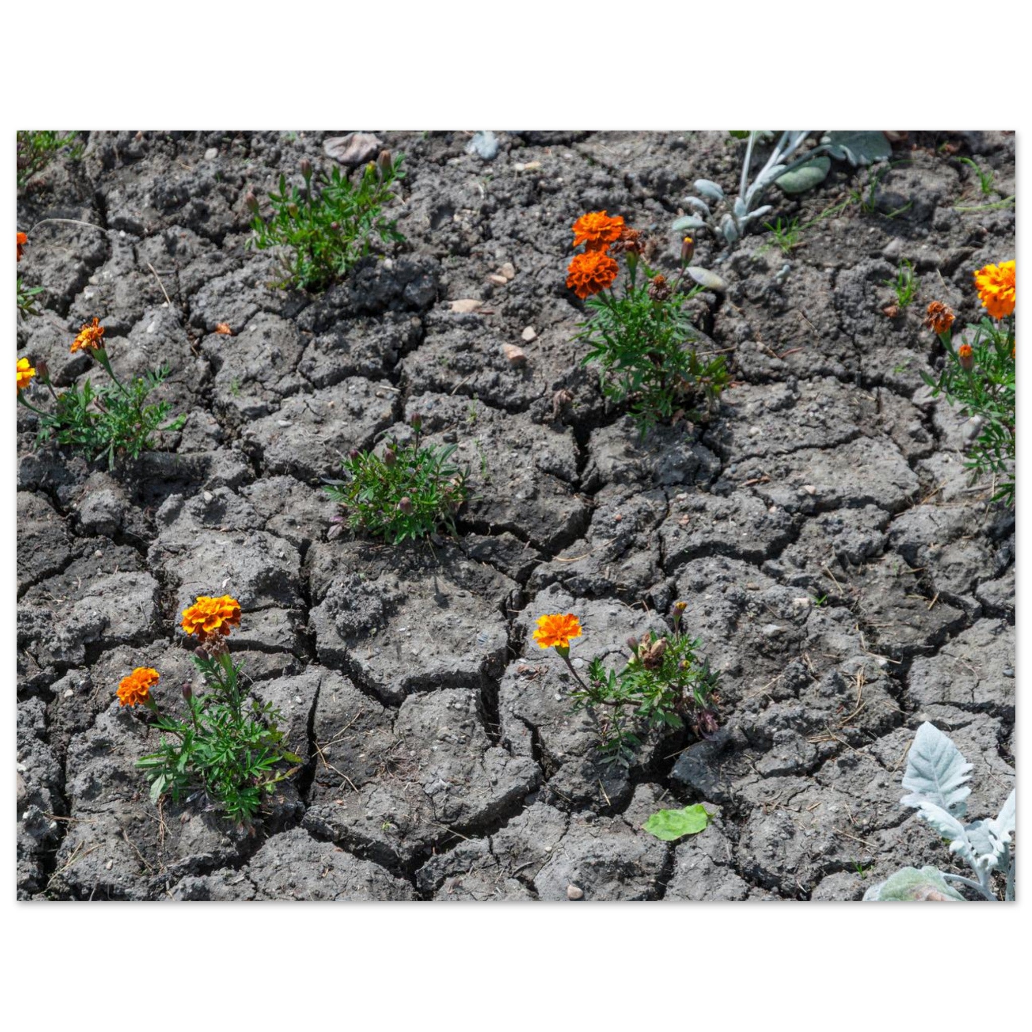 783bab16-dd13-484c-b82f-914739855ccf