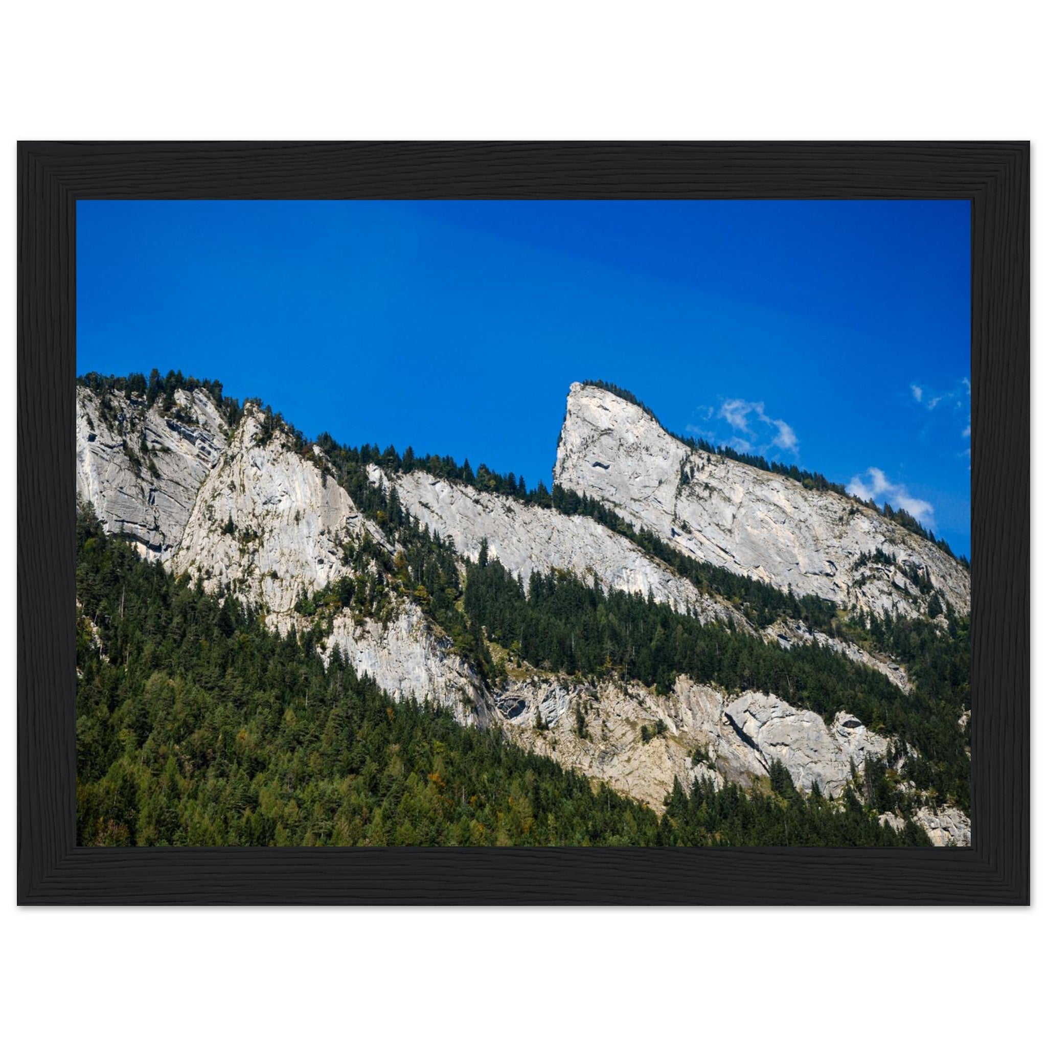 78d5c85e-62c6-4395-91de-eb202b5fd622