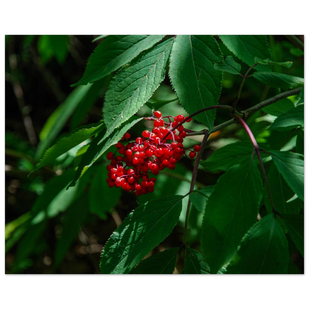 791d774e-be22-4c59-9526-8d1bffec03ca