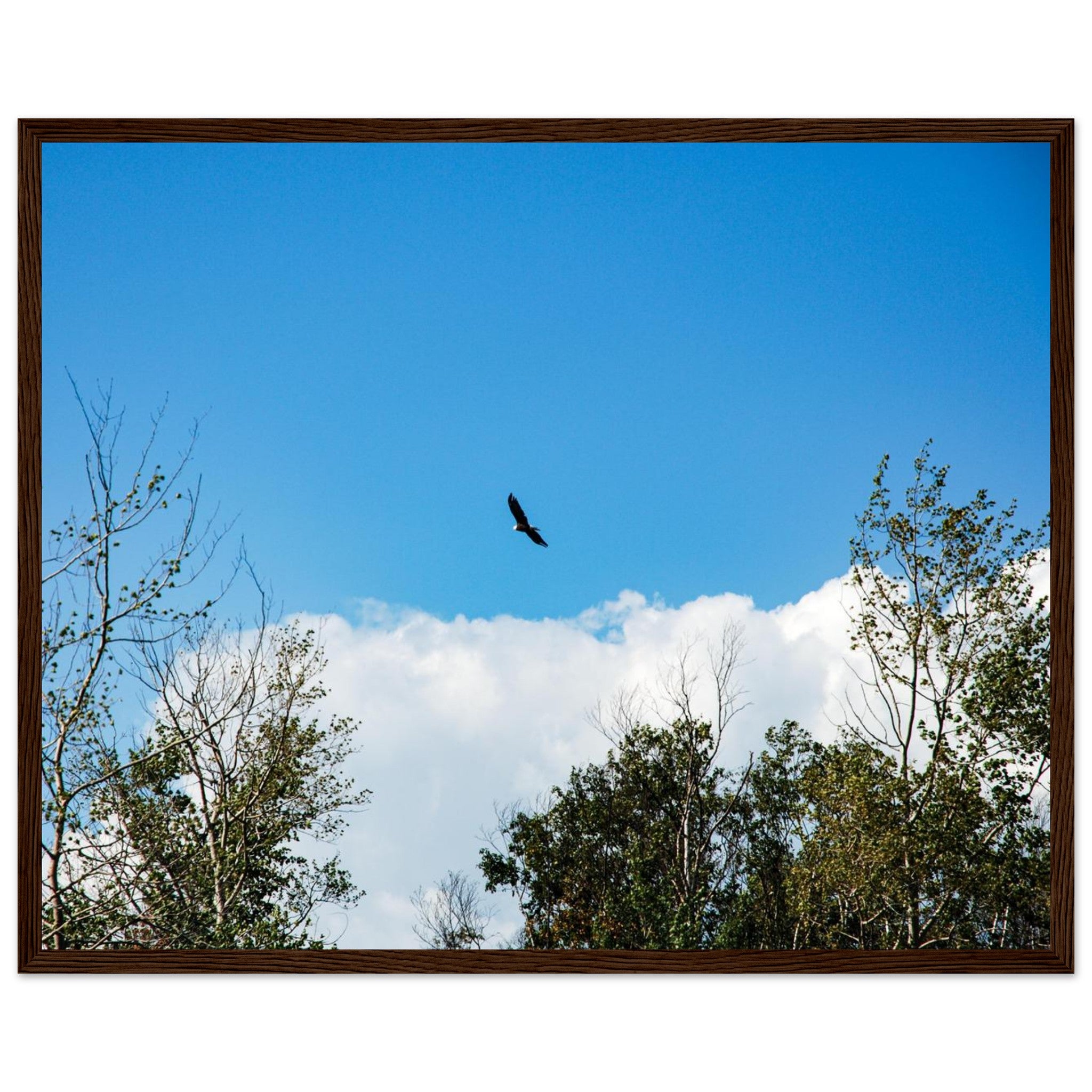 793e8c92-a652-4e1b-b3c1-854010ac2349