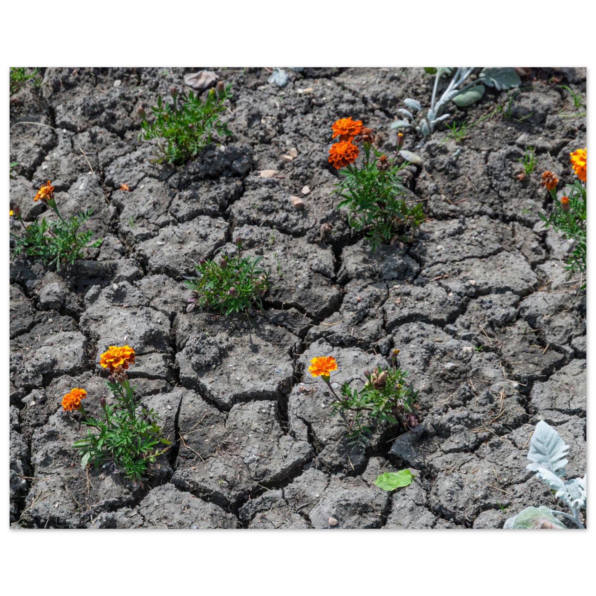 7a052f56-1f53-4008-baff-023c2e6c60d4