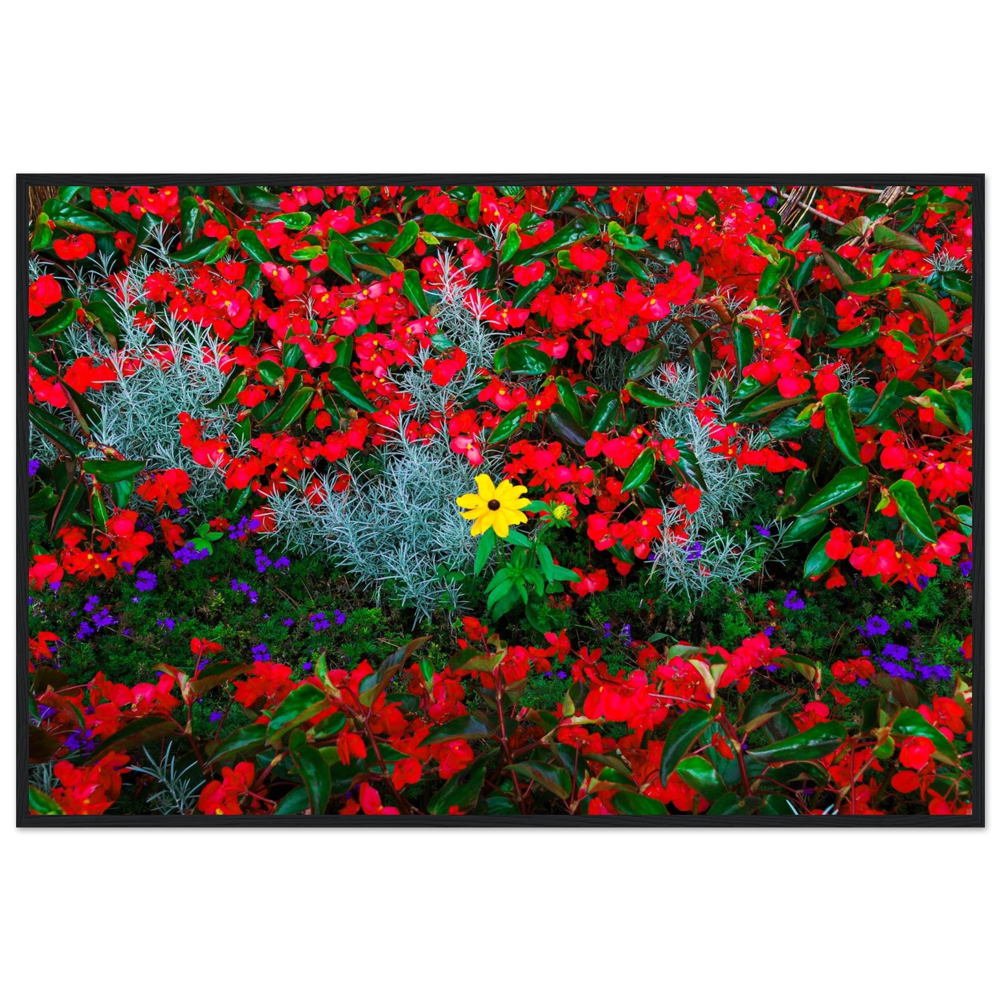 7ae7ec10-16c8-4f74-ac34-4faafe3d95ce