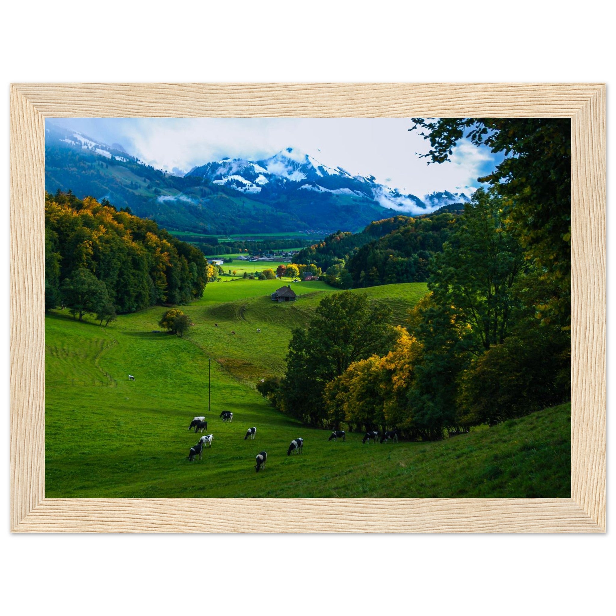 7aea5d71-d464-4e1d-abc6-8c6f4bea836e