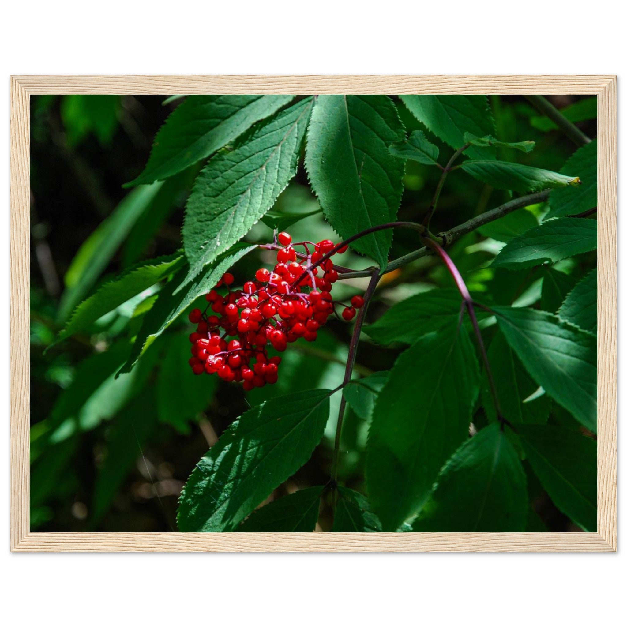 7b145df9-ac7f-4007-abfc-5691e20b57ce