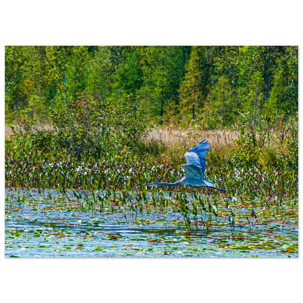 7b20b49b-be57-4a59-afd6-8e69115575f6