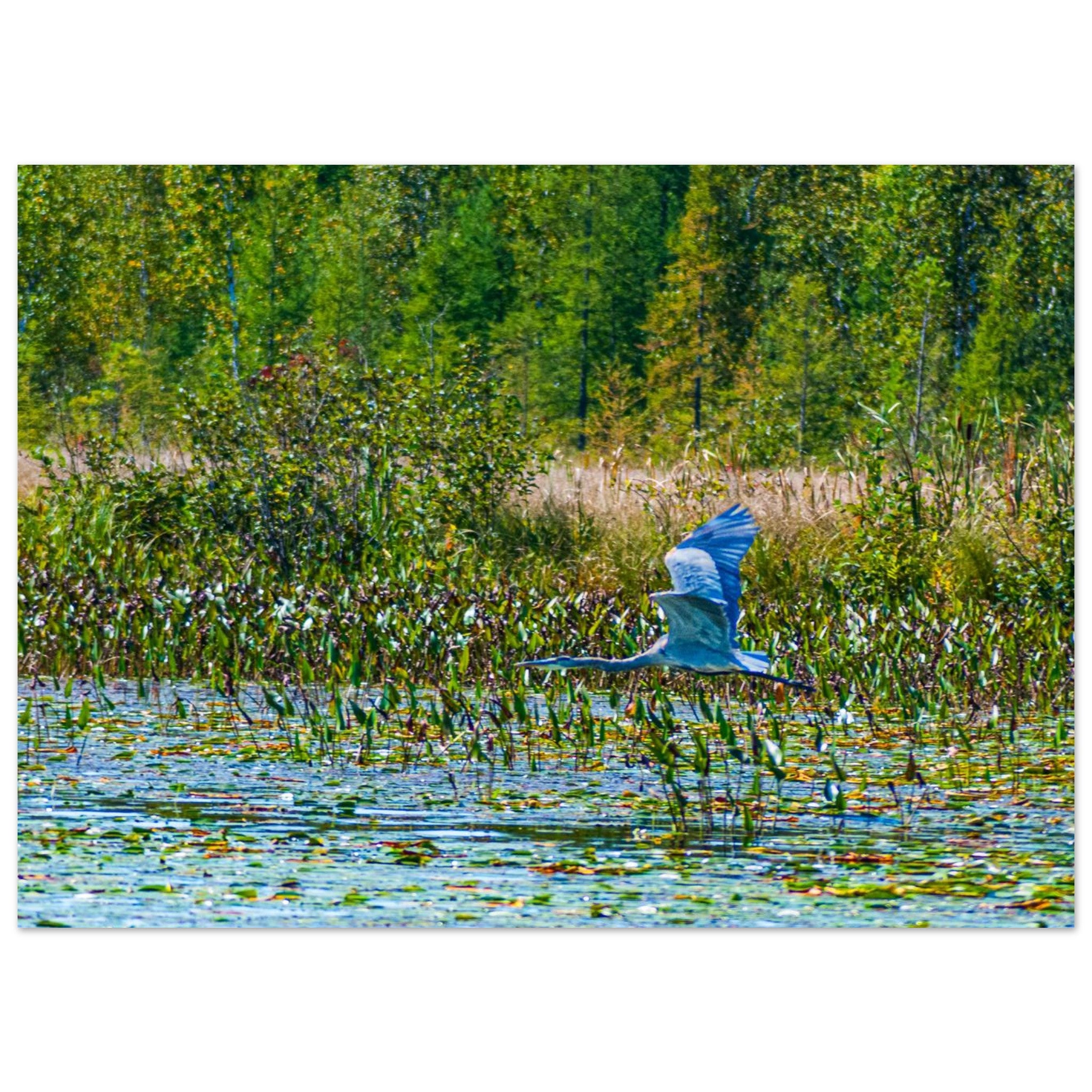 7b20b49b-be57-4a59-afd6-8e69115575f6