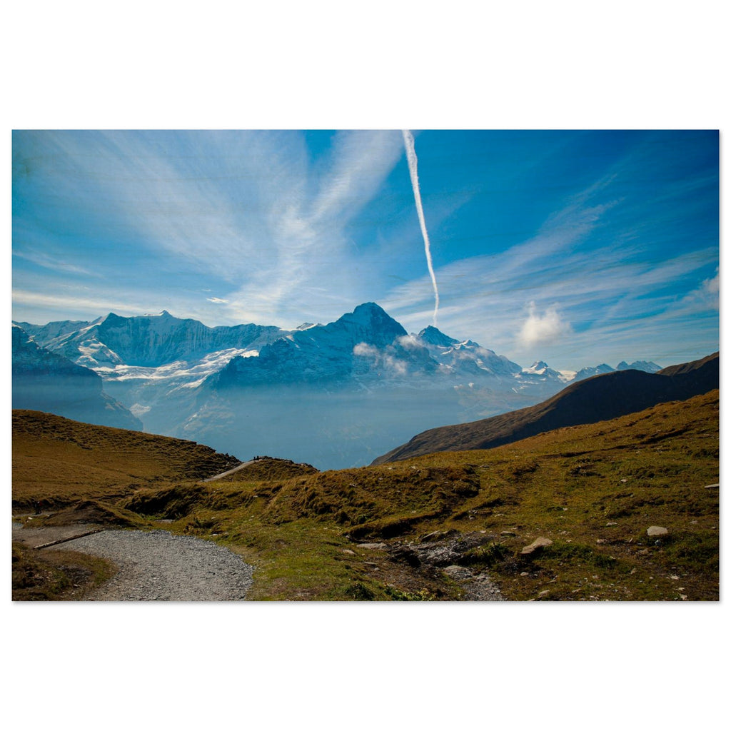 7c07c040-e0be-46e3-867f-d6ae45175355