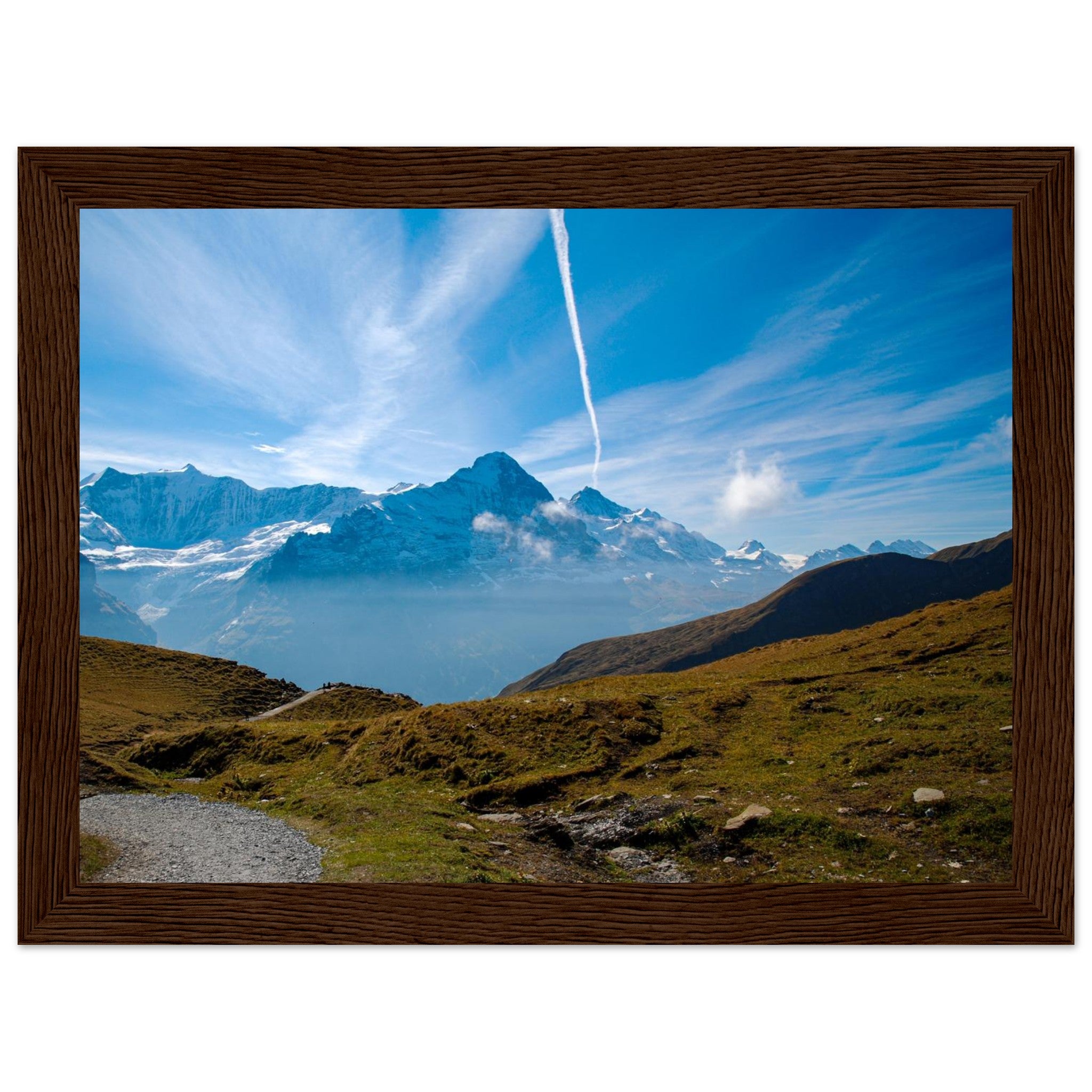 7c6c38f5-7a3f-4a4f-8c09-a15f1ce10e6a