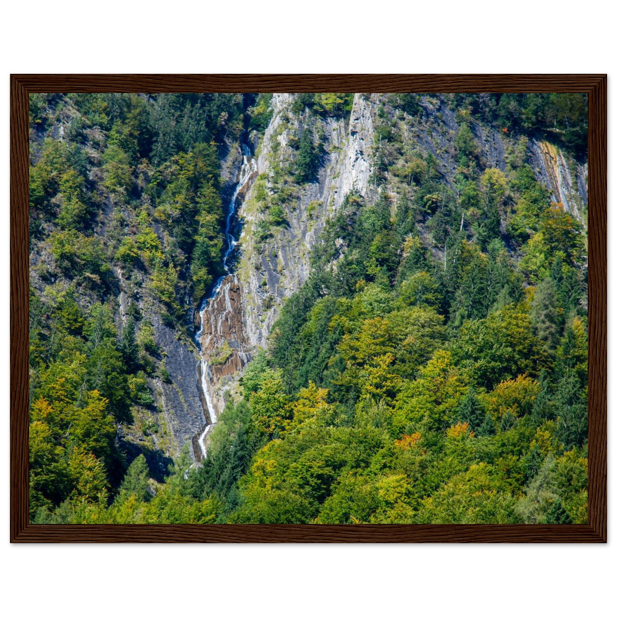 7ccc552f-2465-4854-ba16-c900163d8040